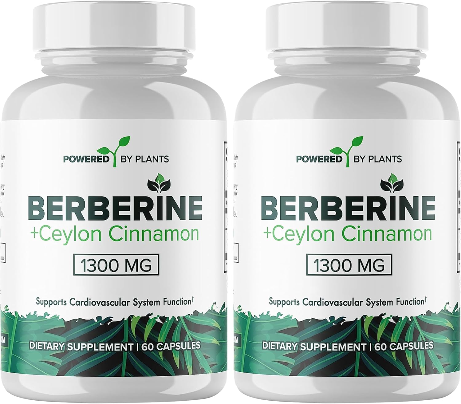 Pure Berberine Supplement – 1300mg Berberine with Ceylon Cinnamon Supplements for Metabolism, Immune System Support, & Overall Wellness – 2 Pack, 120 Berberine Supplements