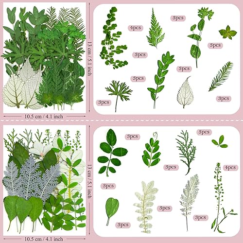 Miniatura 6 de 100 Piezas de Flores Secas Prensadas y Hojas para Moldes de Resina, Flores Silvestres Naturales Reales Secas a Granel Perfectas para Epoxi,