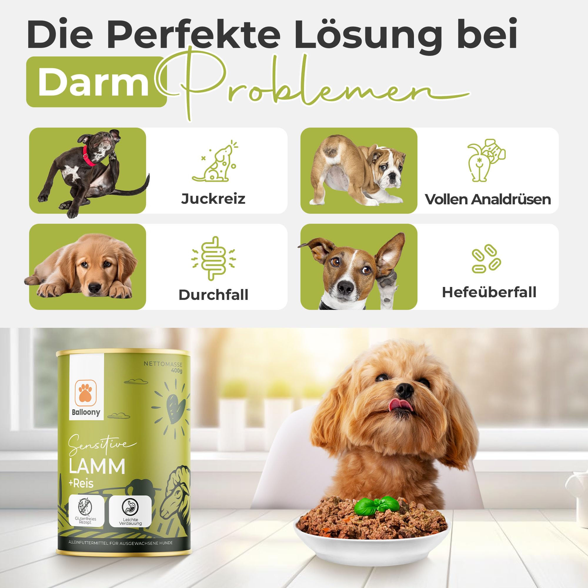 hundefutter mit frischfleisch Kallisbest Rind mit Gemse Nassfutter Hund  100% Frischfleisch, offen  deklariert