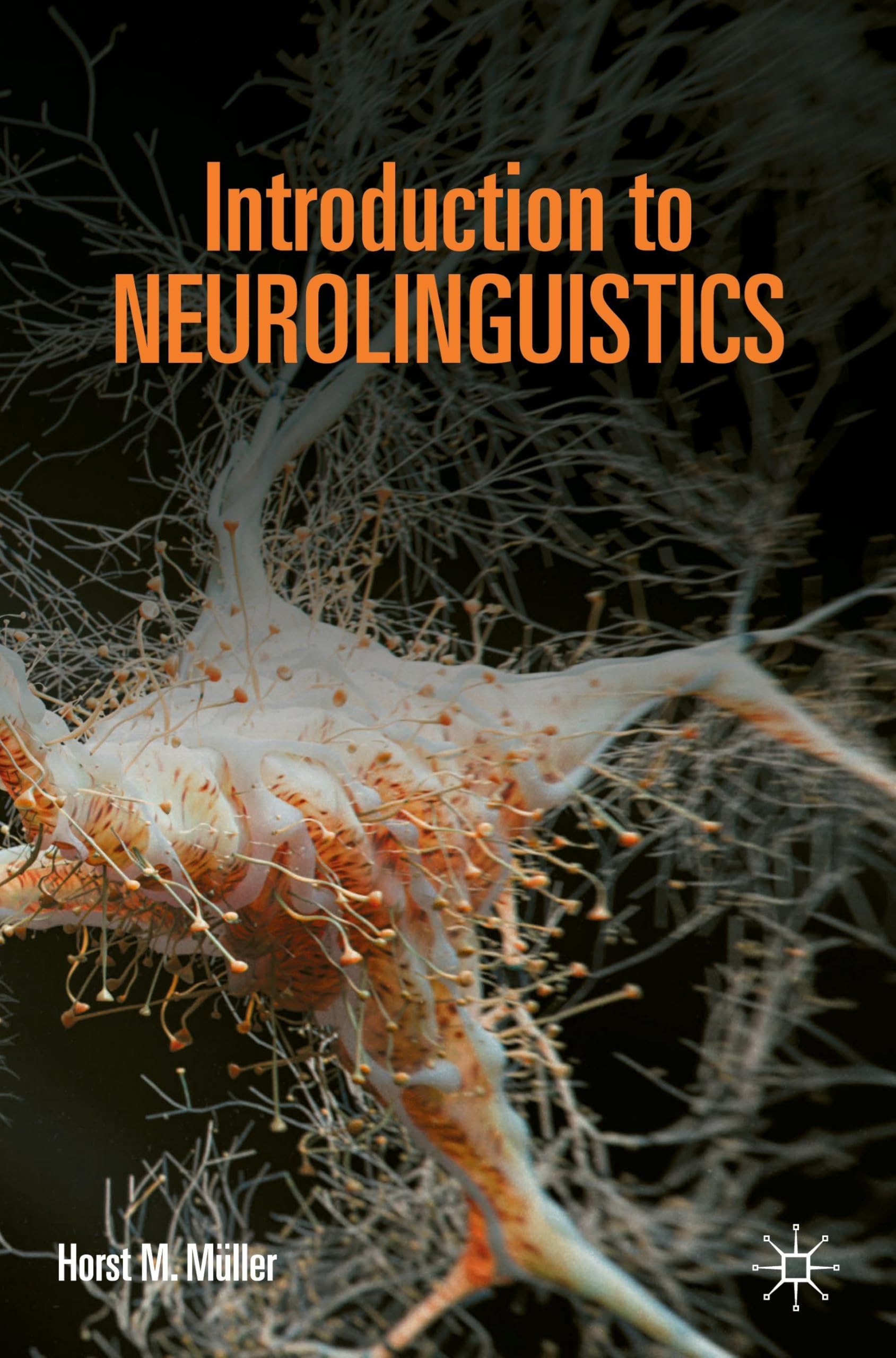Introduction to Neurolinguistics by Horst M. Mller - 9783662719053