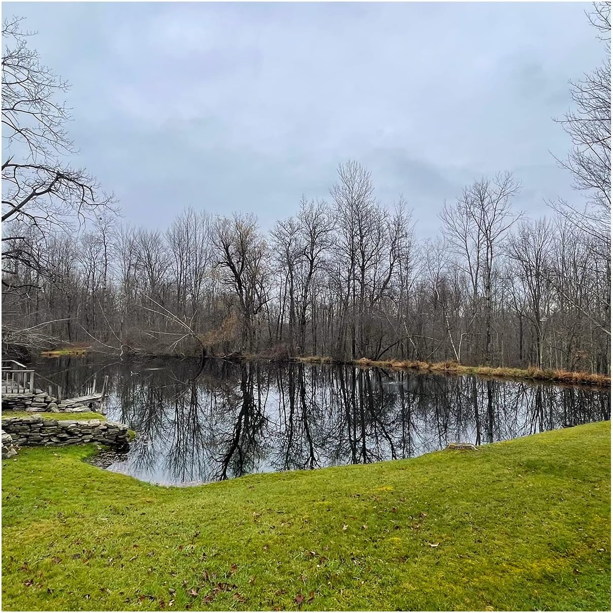 Natural Waterscapes Pond Dye - Reflective Black Super Concentrate - 1 Quart Treats 1 Acre up to 6 Feet Deep, Black Pond Dye Creates a Dark Mirrored Reflection of Surroundings (1)