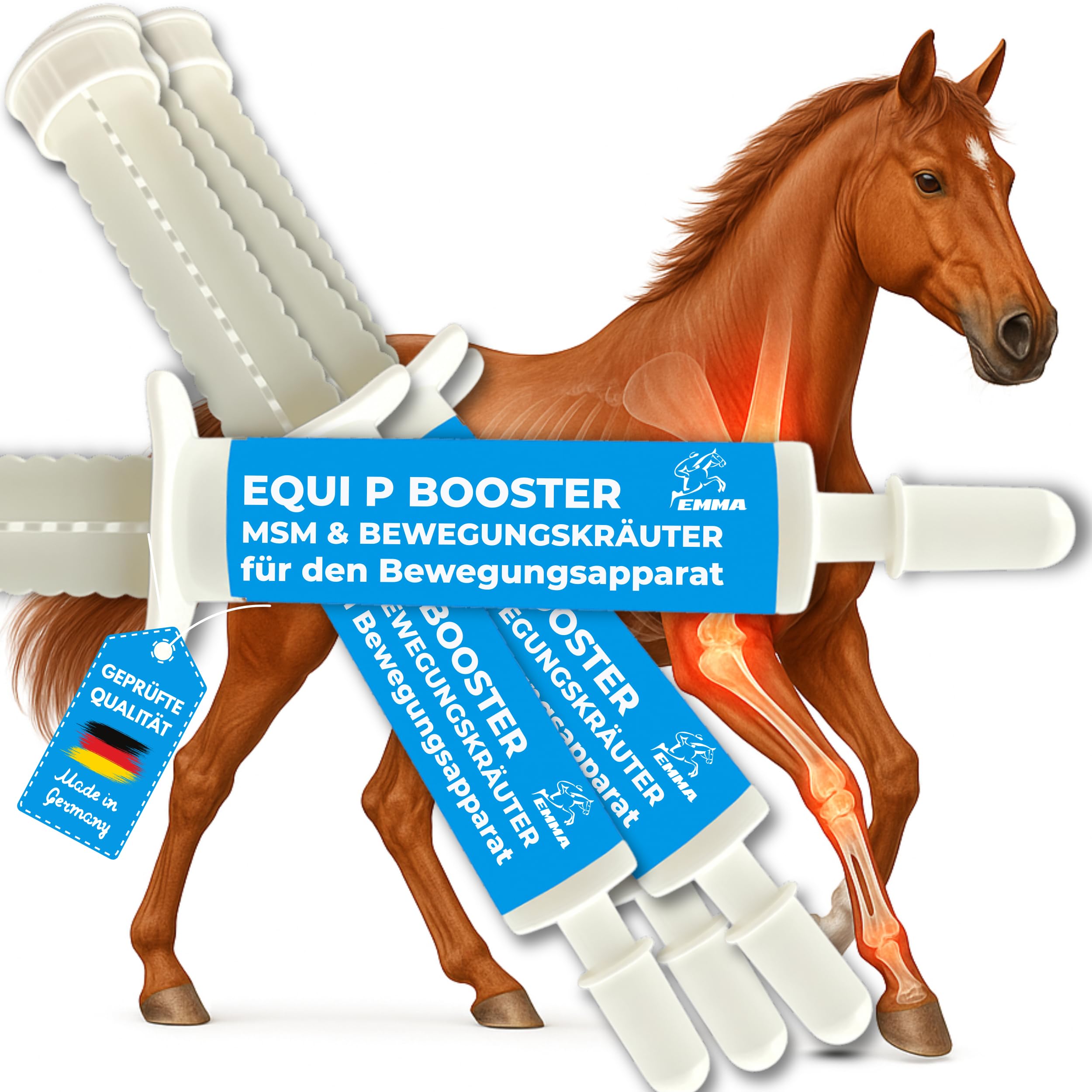 MSM Pferd Weidenrinde Pferd Equi P Booster Vitamin Paste für Gelenke Glucosamin Chondroitin MSM hochdosiert Vitamin C Bierhefe Bewegungsapparat Sehnen Bänder Knorpel Senioren Pferde 4 Stück
