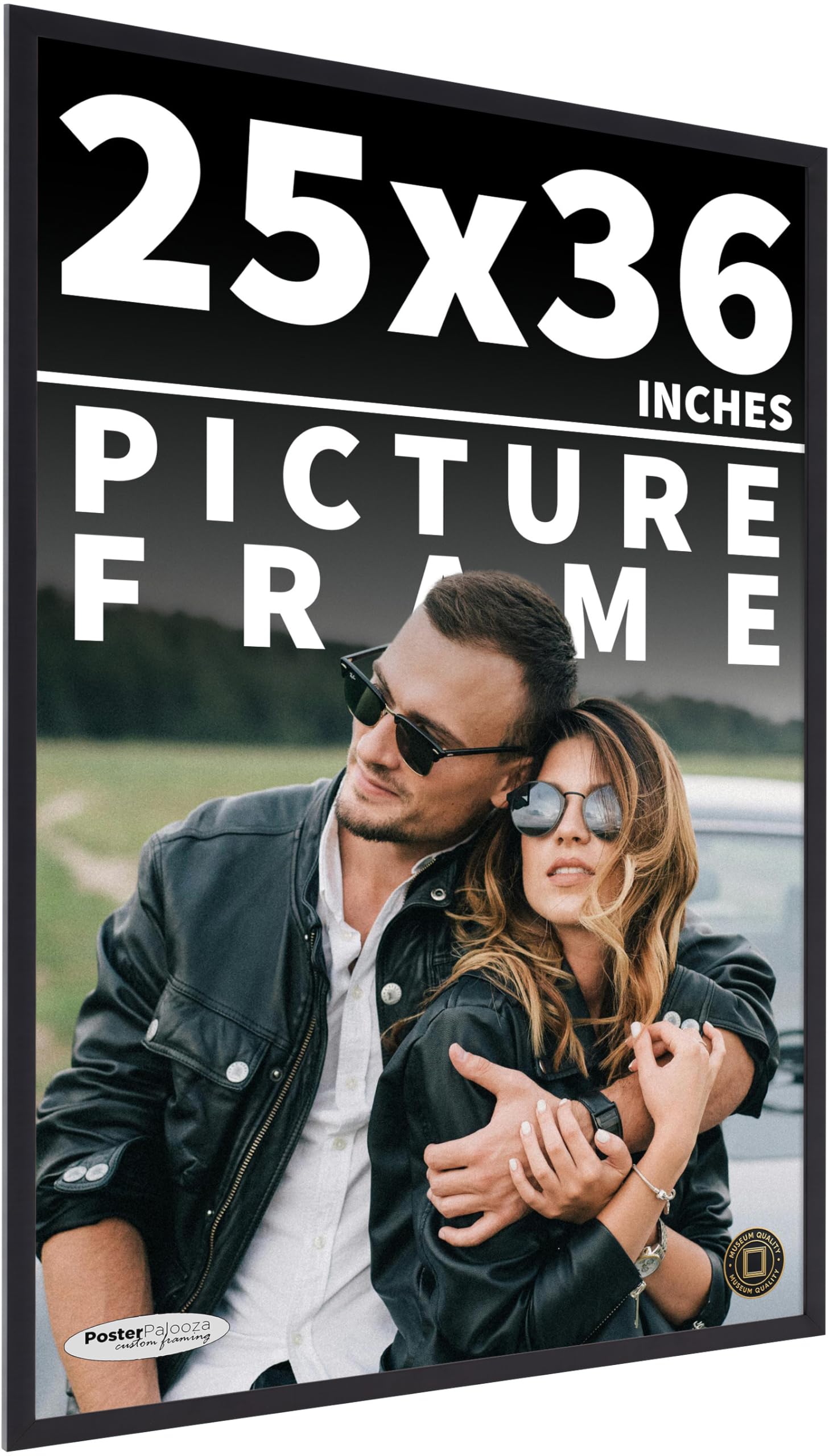 Amazon.com - Poster Palooza 25x36 Frame Black Wood Picture Frame