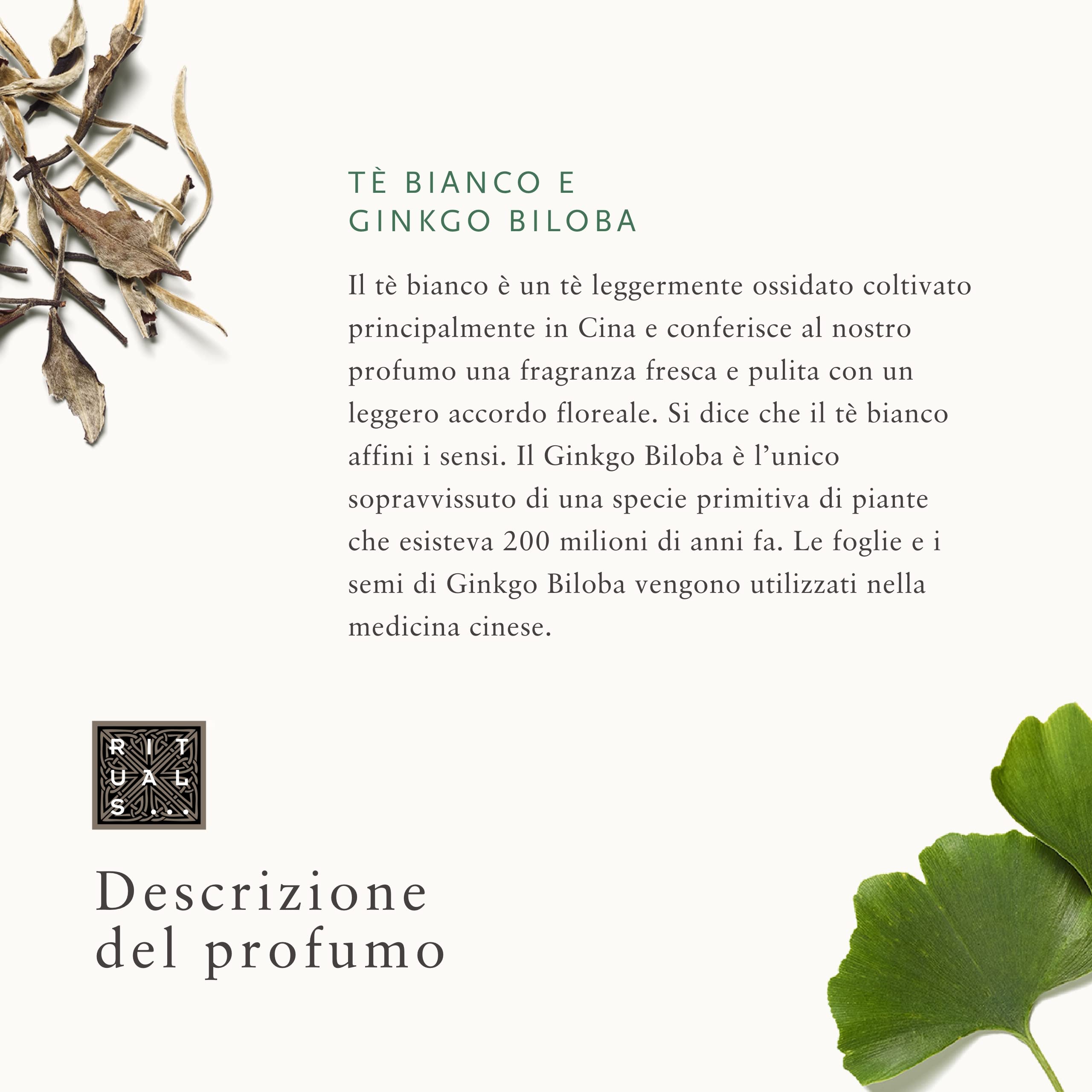 Set de Regalo RITUALS de The Ritual of Karma, Kit de Muestras - con Loto Sagrado y Té Blanco - Propiedades Hidratantes y Refrescantes