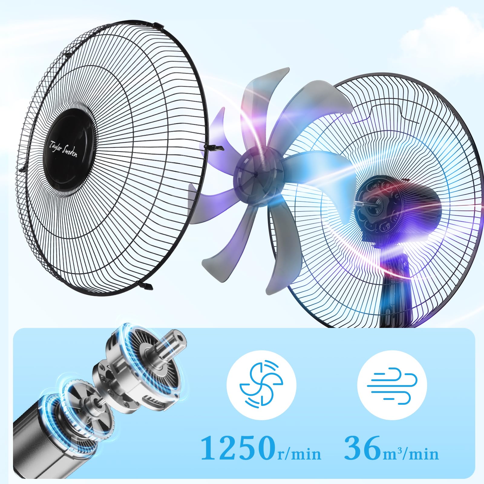 Taylor Swoden 7 Aspas Ventilador de pie Potente, 3 Velocidades, 50W Ventiladores, Altura Regulable, Oscilante, Rejilla de Seguridad, Base Estable, Negro, 43x40x120cm, *2