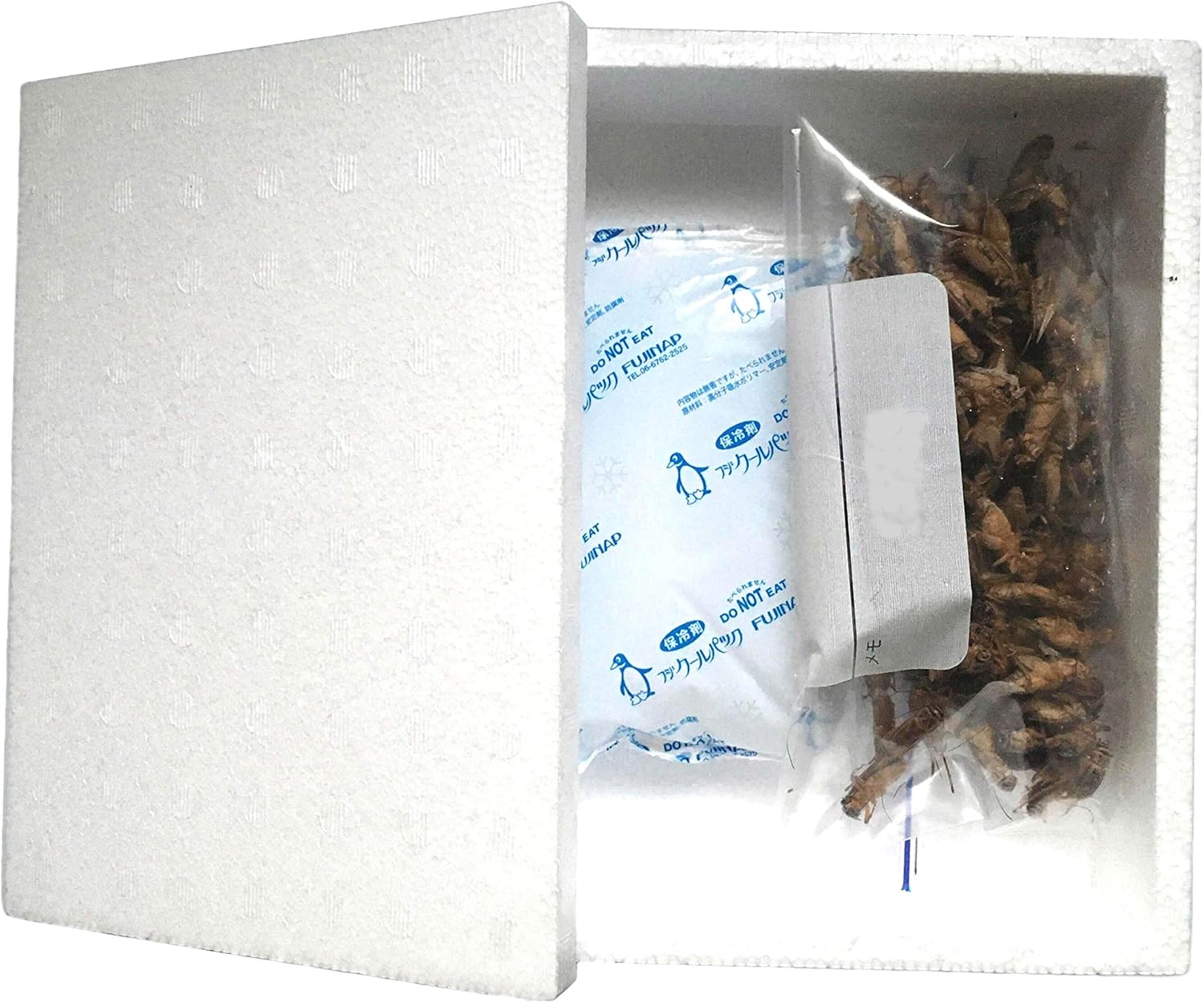 Amazon 冷凍コオロギ餌用 国産イエコ Lサイズ0ｇ 約480匹相当 ネイトファームのヨーロッパイエコは新鮮急速冷凍 ネイト フード 通販