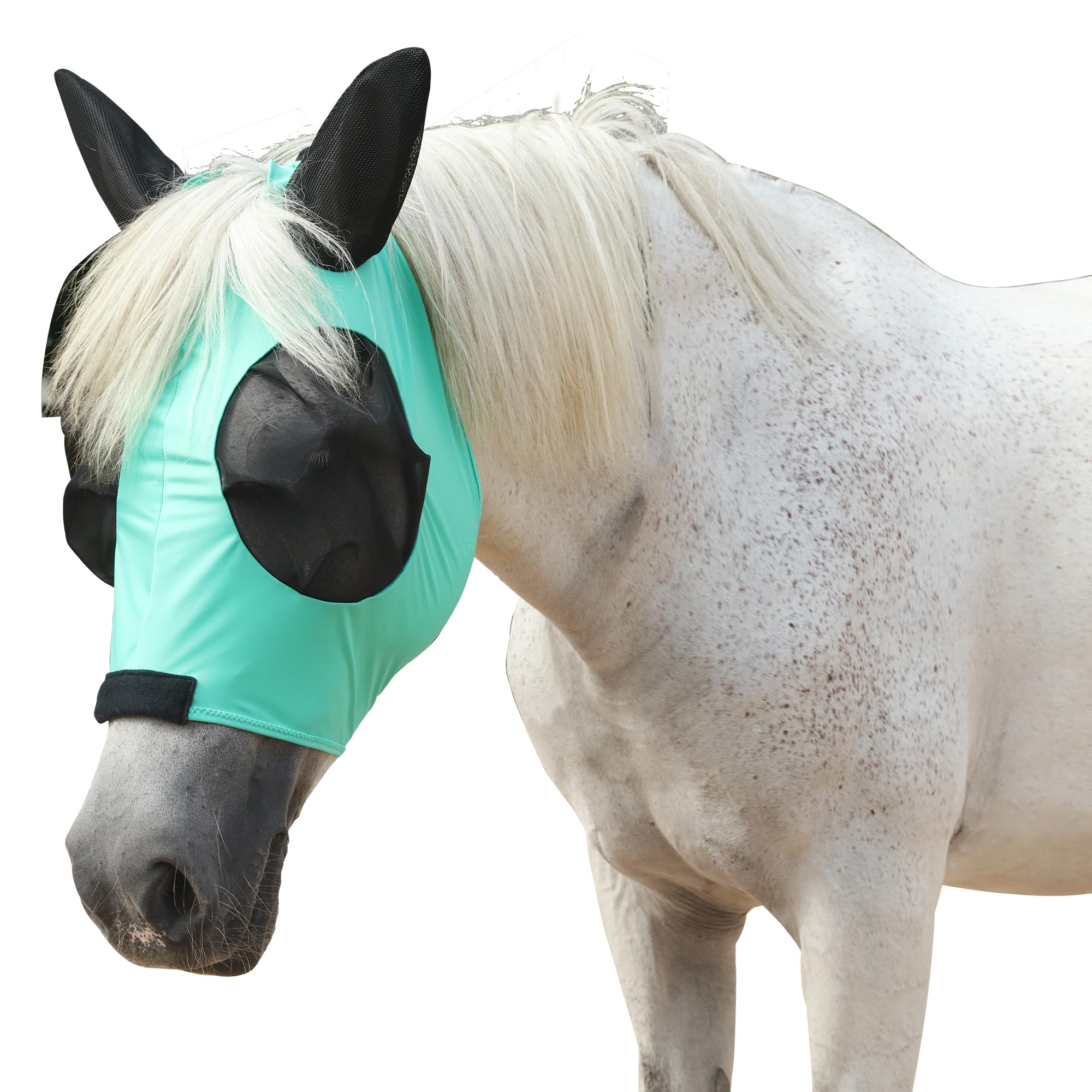 Leberna Horse Fly Mask with Ears Smooth and Elasticity Fly Mask with UV Protection (Green, Cob)