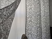 Review Image by Dizygotica Dizygotica