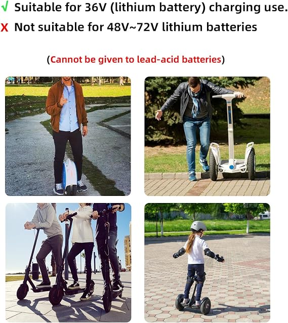 42V 2A Electric Bike Charger for 36V Battery