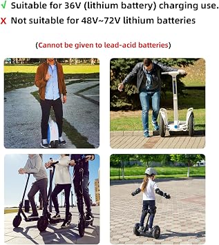 42V 2A Electric Bike Charger for 36V Battery