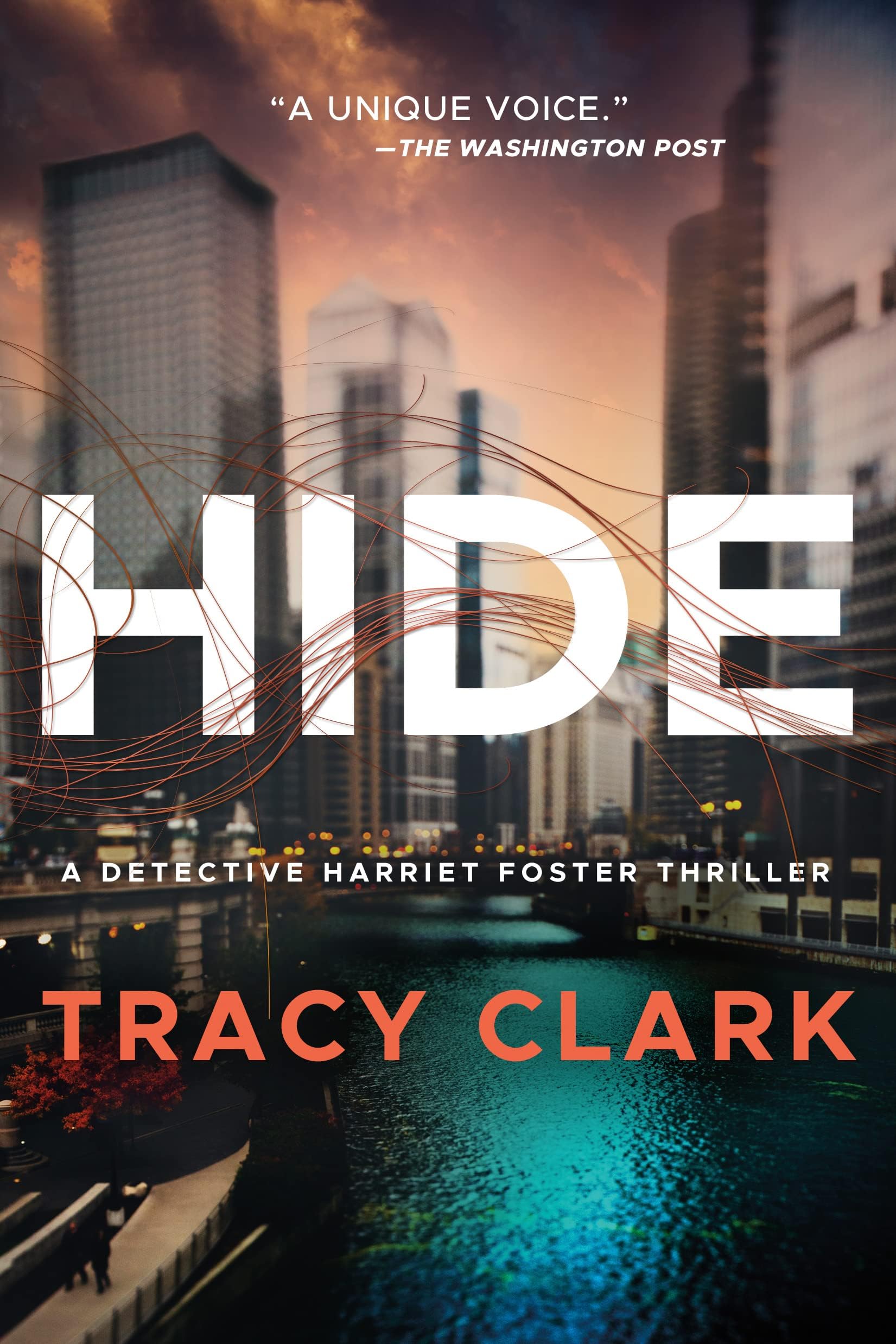 Hide: Detective Harriet Foster, Book 1