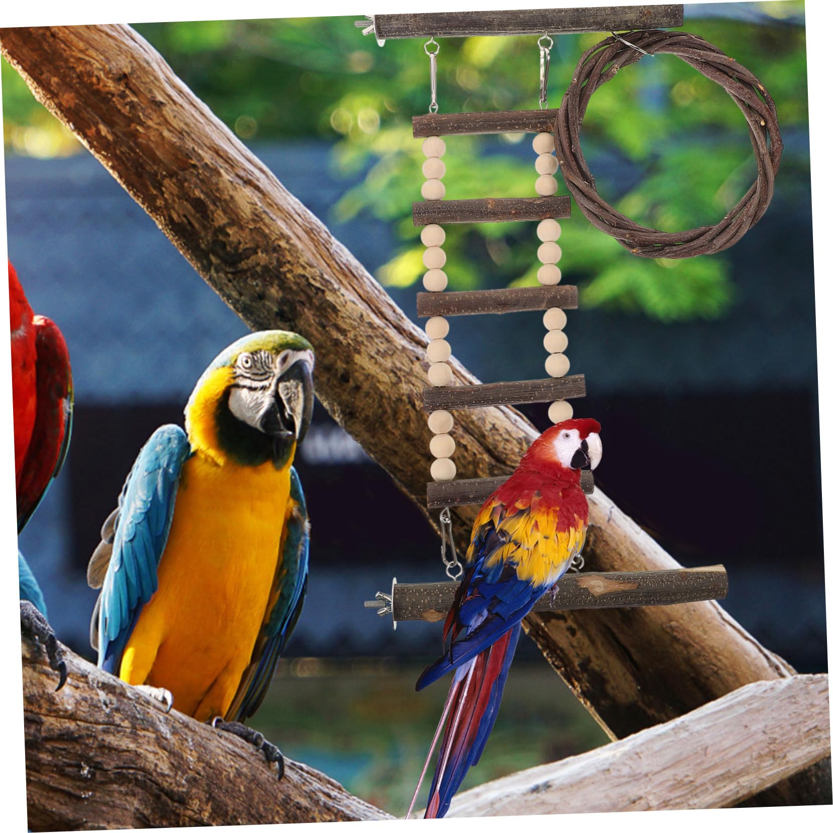 BESPORTBLE Budgie Climbing Ladder Toy Wooden Parrot Training Ladder Parakeet Step Ladder Cage Exercise Toy