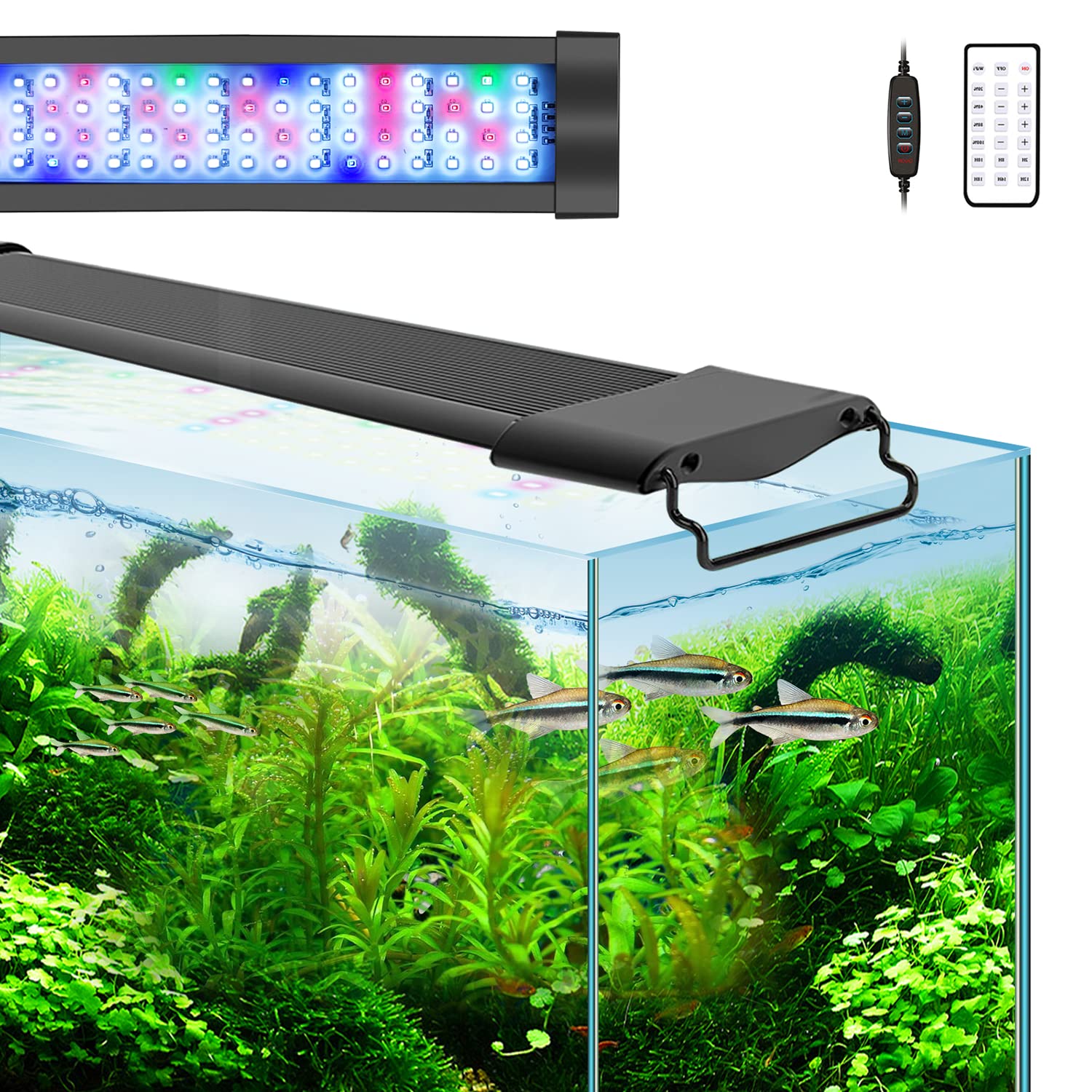 View of Planted Tank Aquarium Led Lighting Marineland High Definition LED