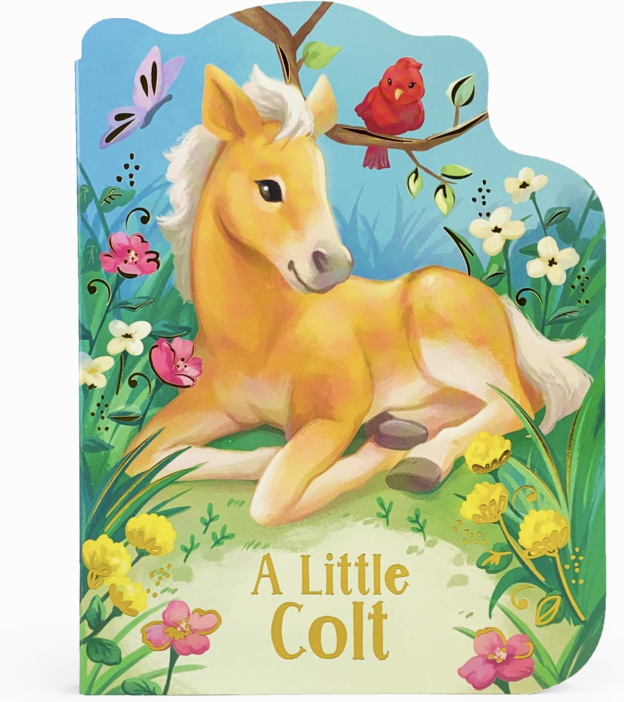 A Little Colt: A Baby Horse Board Book Story