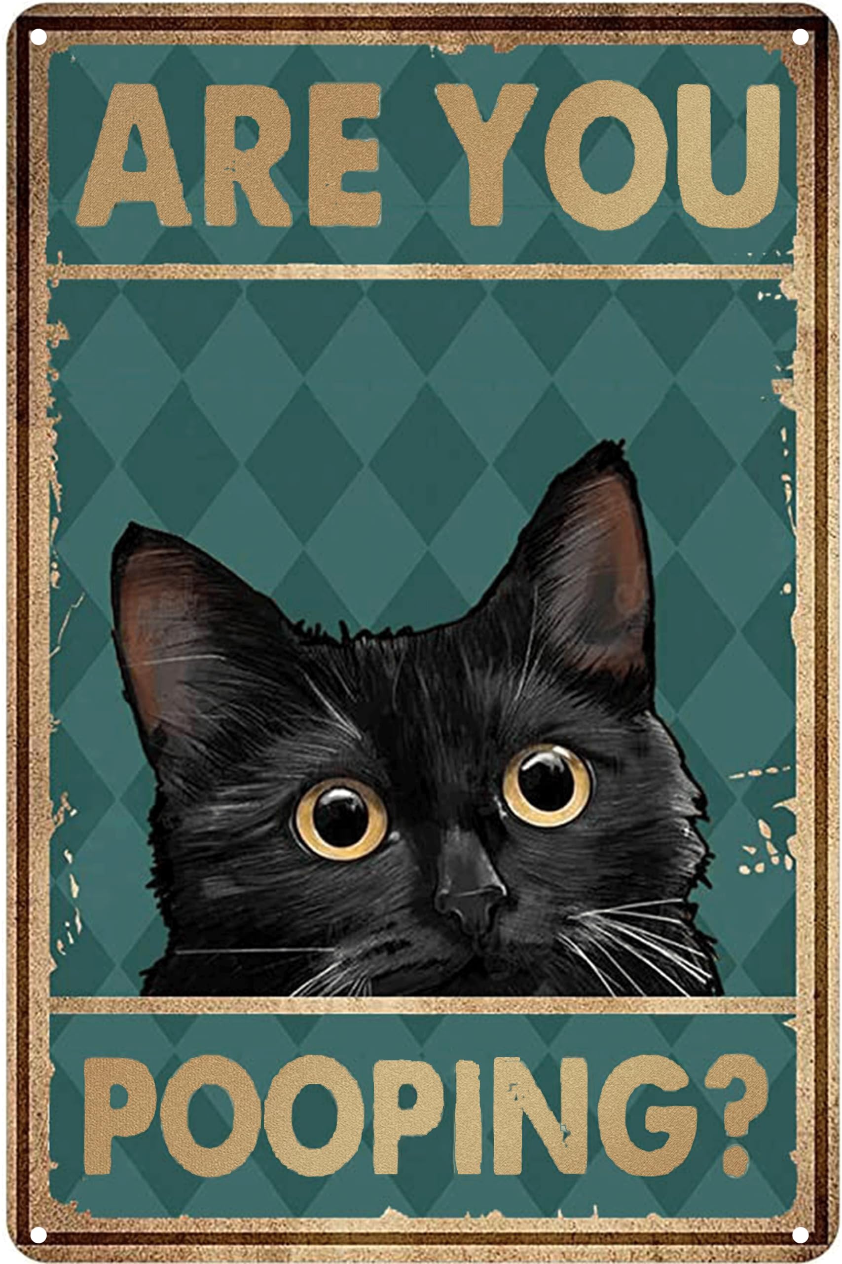 Amazon.com: Funny Black Cat Bathroom Metal Signs-Are You Pooping Tin ...
