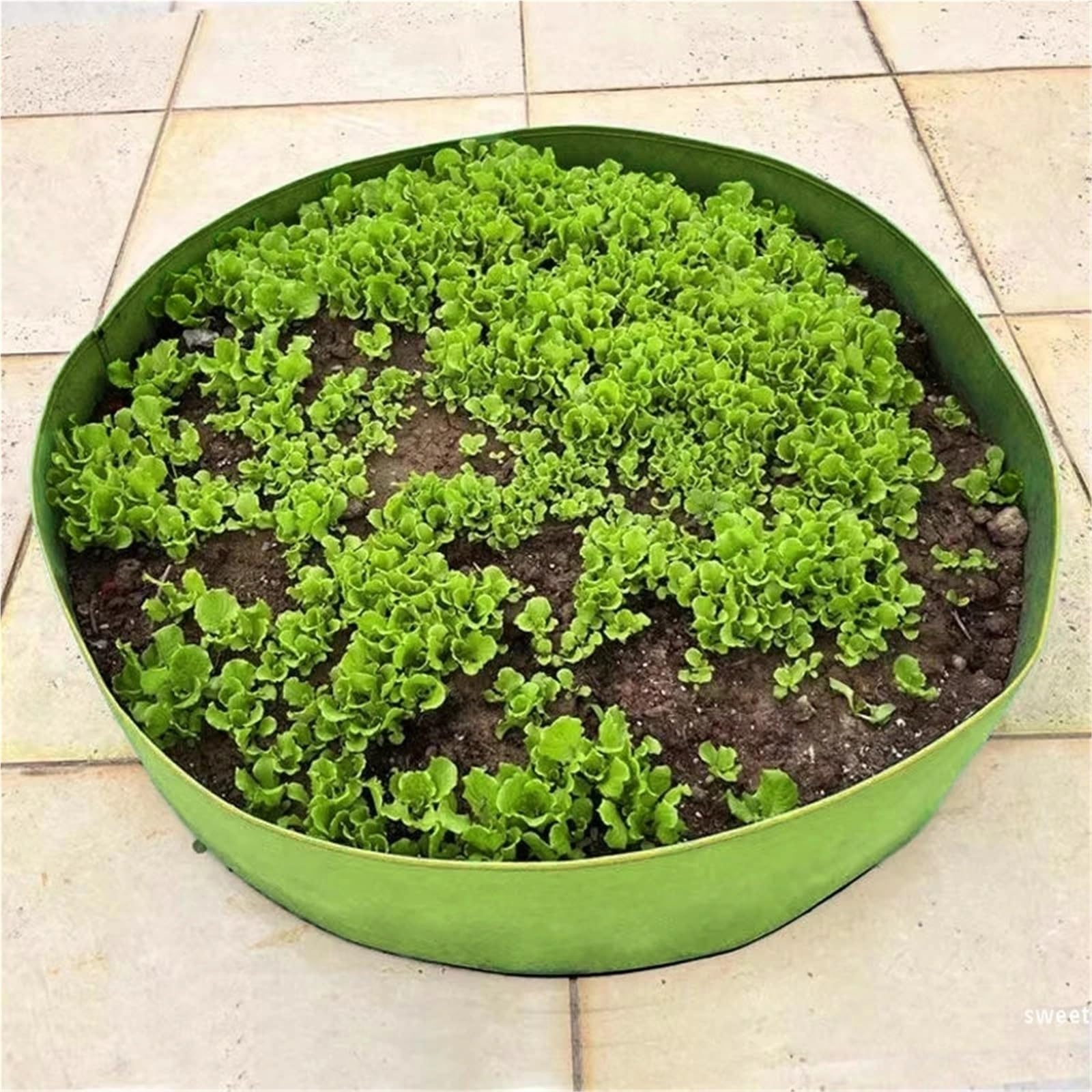 Bolsas de Cultivo Circulares Grandes Fieltro for jardín, macetas for Plantar al Aire Libre, huerto, bancal, vivero(Black,80cmx30cm)