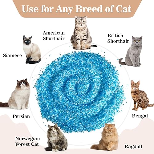 Miniatura 4 de Sukh Arena de cristal para gatos de 46.56 onzas  Cristales de arena para gatos, azul y blanco, transparente, sin polvo, bajo seguimiento, control de