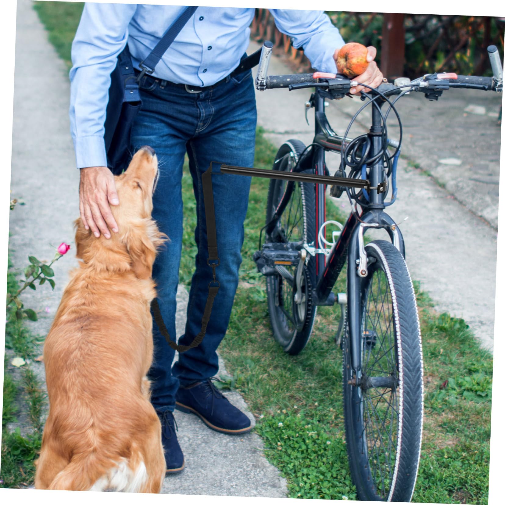 TOYANDONA Guinzaglio per Cani da Bici Cinghia Confortevole e Resistente Oxford e Lega, Regolabile per Cani Piccoli e Medi, per Attività All'aperto