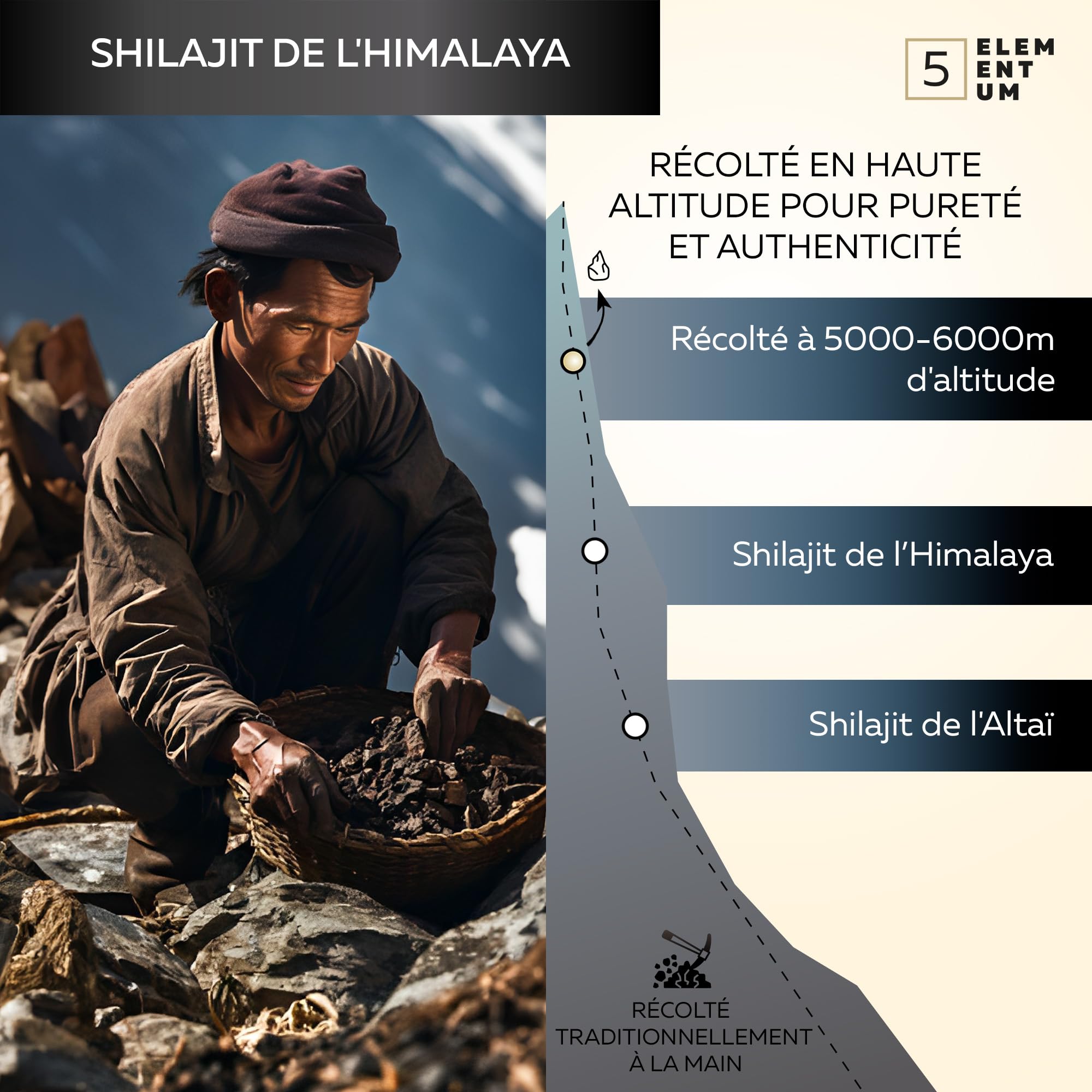 Shilajit Pure Himalaya 50 g + 4 g Offert – Résine Originale avec 82 % d’Acide Fulvique et 87 Minéraux | Naturellement Hautement Dosé | Pot en Verre Foncé + Cuillère Doseuse 500 mg