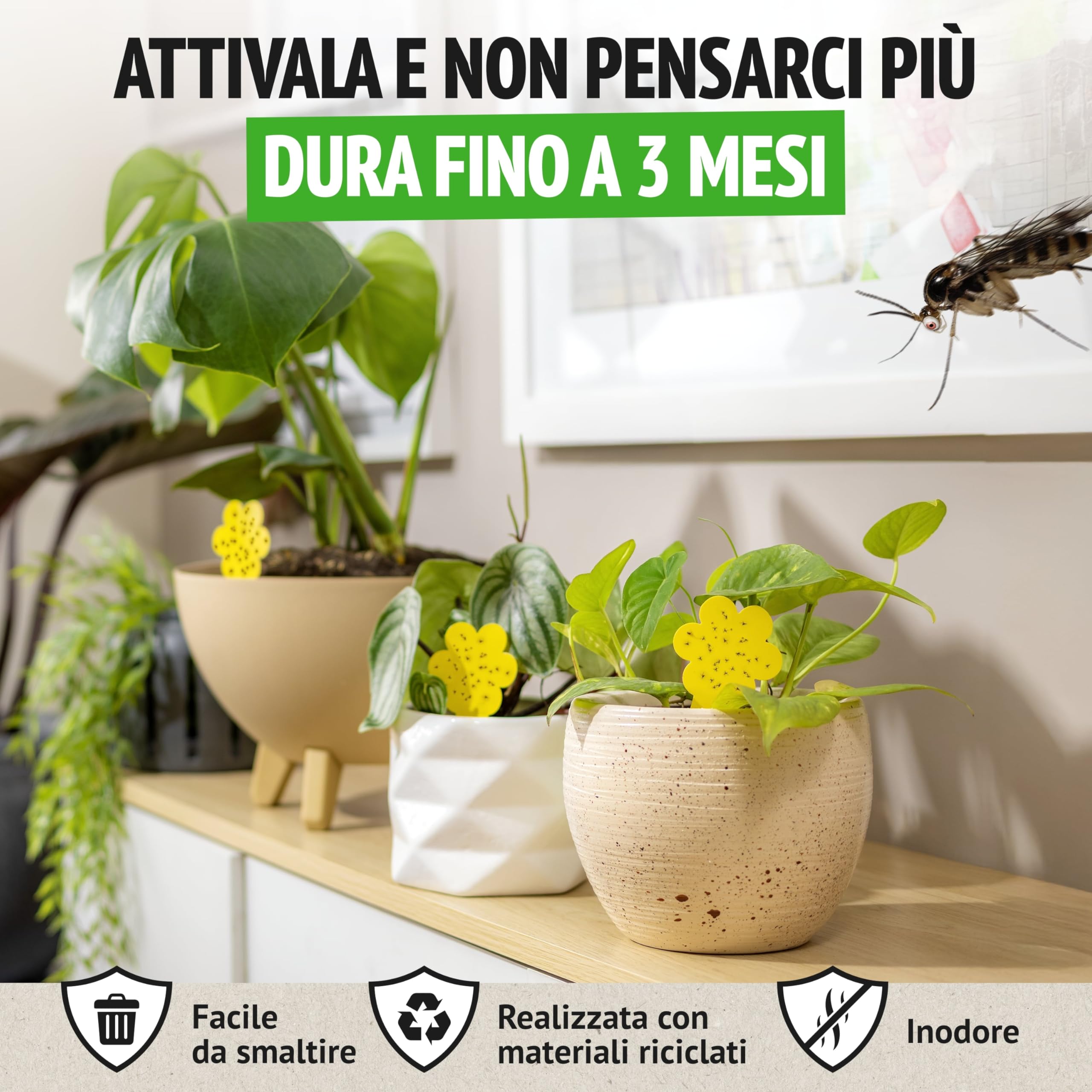 Trappole anti Moscerini delle Piante 30 Pezzi Esche Adesive Eco Senza Insetticidi