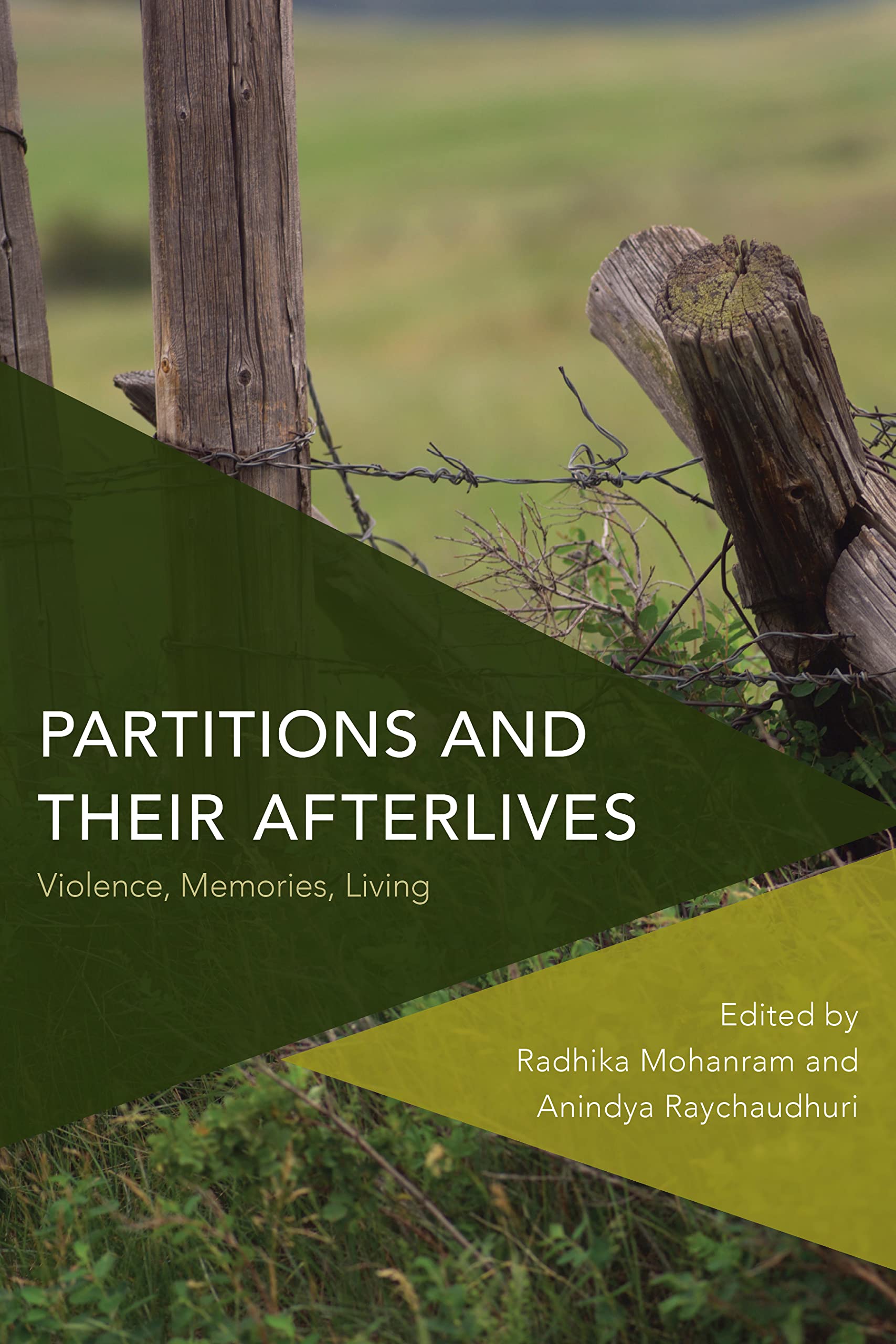 Partitions and their Afterlives: Violence, Memories, Living (Critical Perspectives on Theory, Culture and Politics)