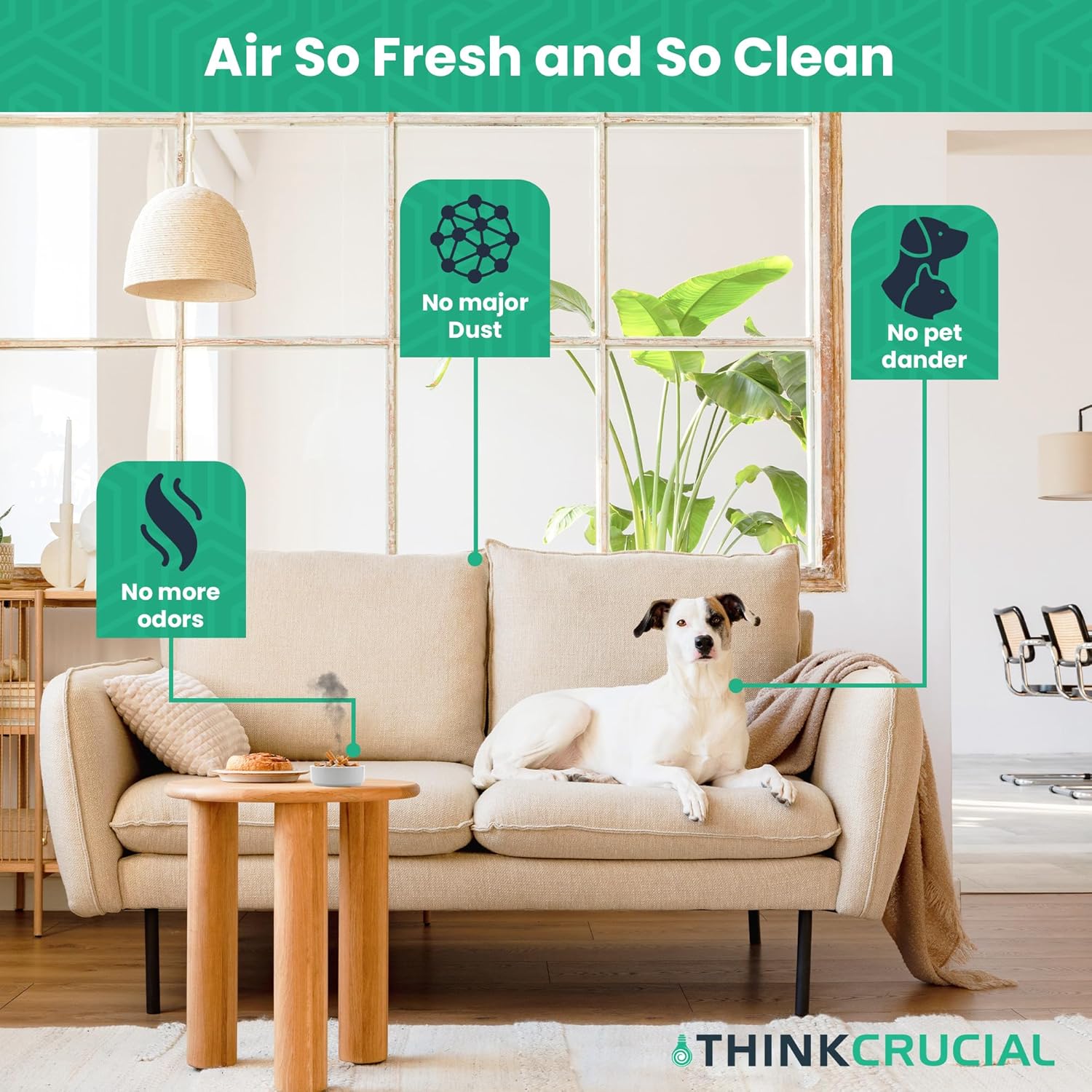 2 Replacement Air Filters - Compatible with Dirt Devil F-43 Easy Lite Cyclonic Bagless Foam Vacuum Cleaner Filter - HEPA Style - Replace Parts #F43 2PY1105000 1PY1106000 (2 Pack)- by Crucial Vacuum - Image 7