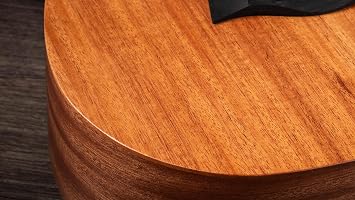 Taylor BT2 - Mahogany Top