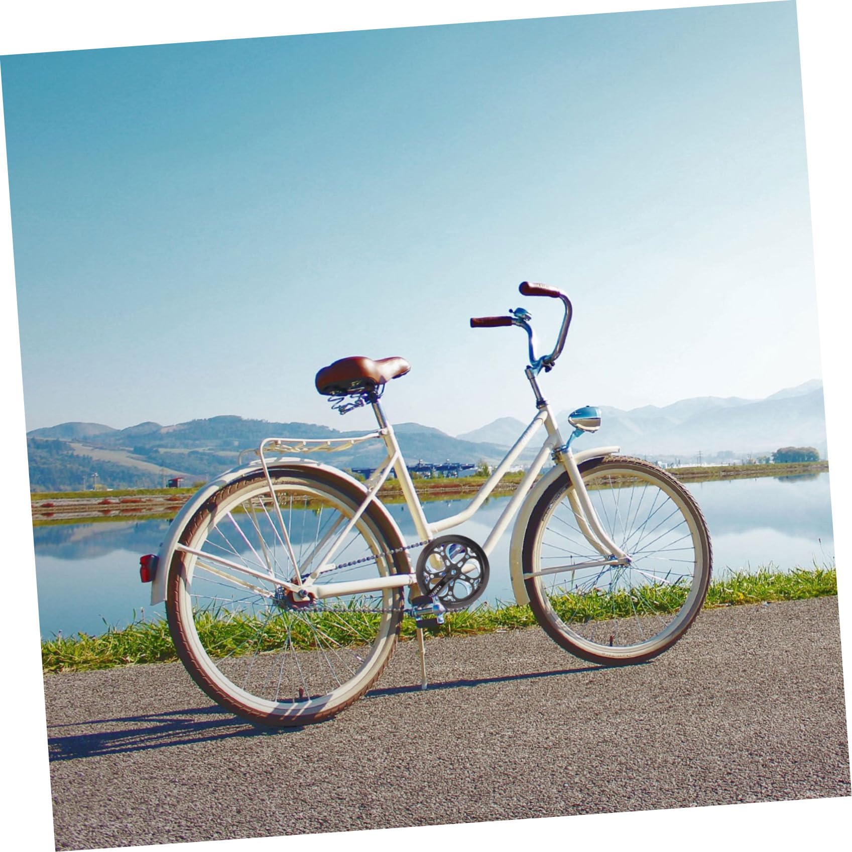 Beaupretty Guarnitura Singola Bici 170 Mm in Ferro 52 Denti Manovella Cava, Compatibile Bici Corsa e Mountain Bike a velocità Singola, Accessori di Ricambio per Trasmissione Biciclette