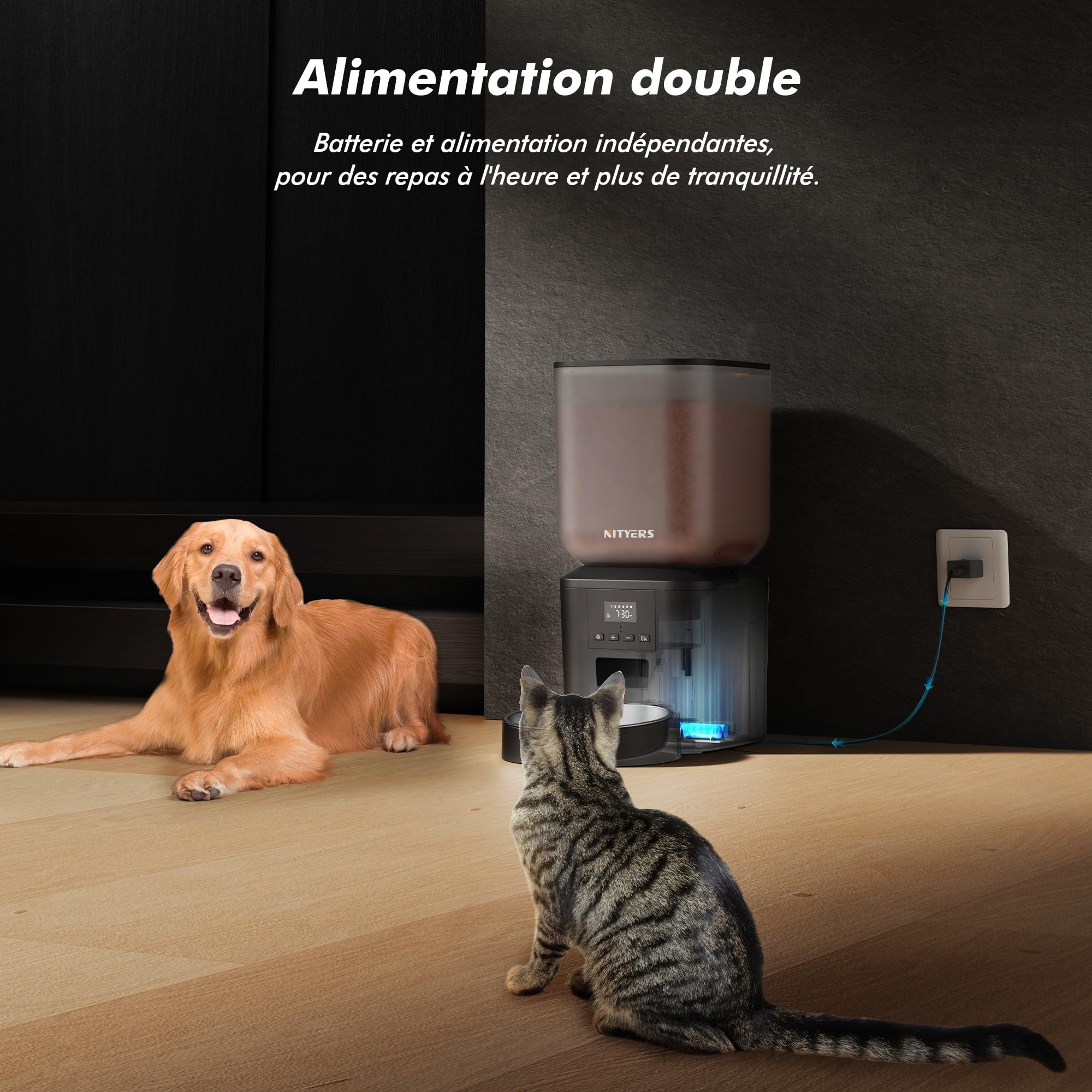 Distributeur Croquettes Chat et Chien Automatique, 8L Grande Capacité, 1-6 Repas par Jour, avec Cuve en Acier Inoxydable, Enregistreur Vocal 10s