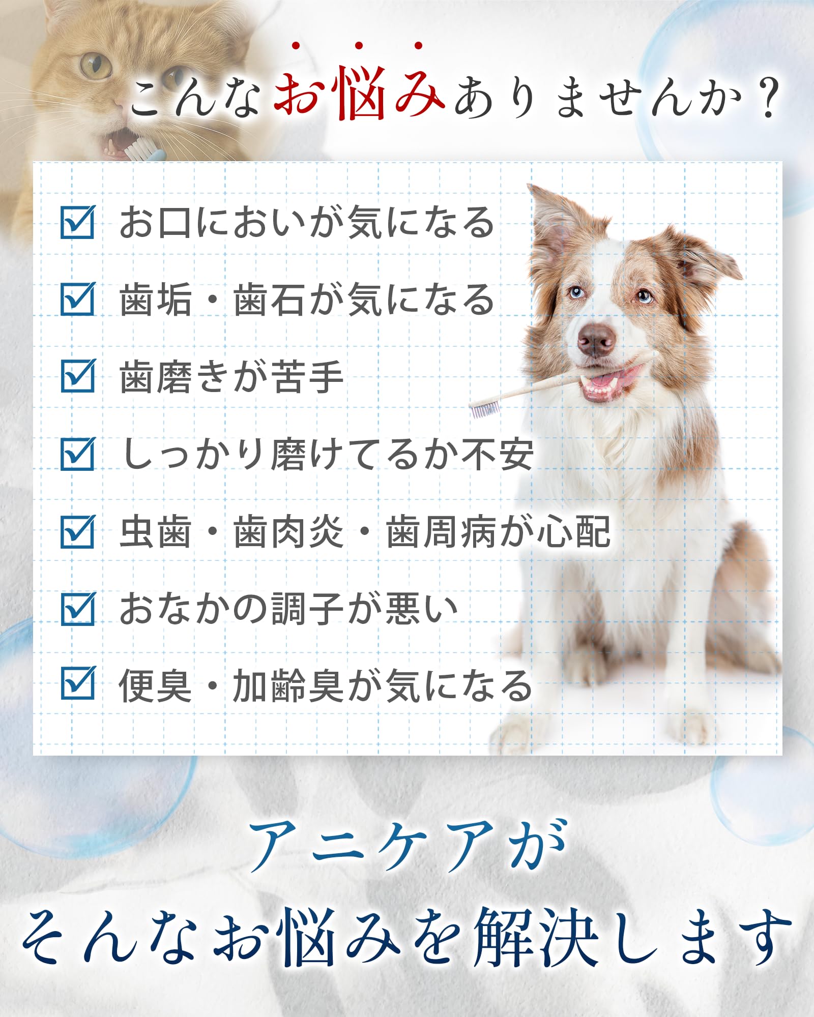 Amazon.co.jp: 【獣医師監修】アニケア 犬猫 口臭ケア 口腔ケアサプリ