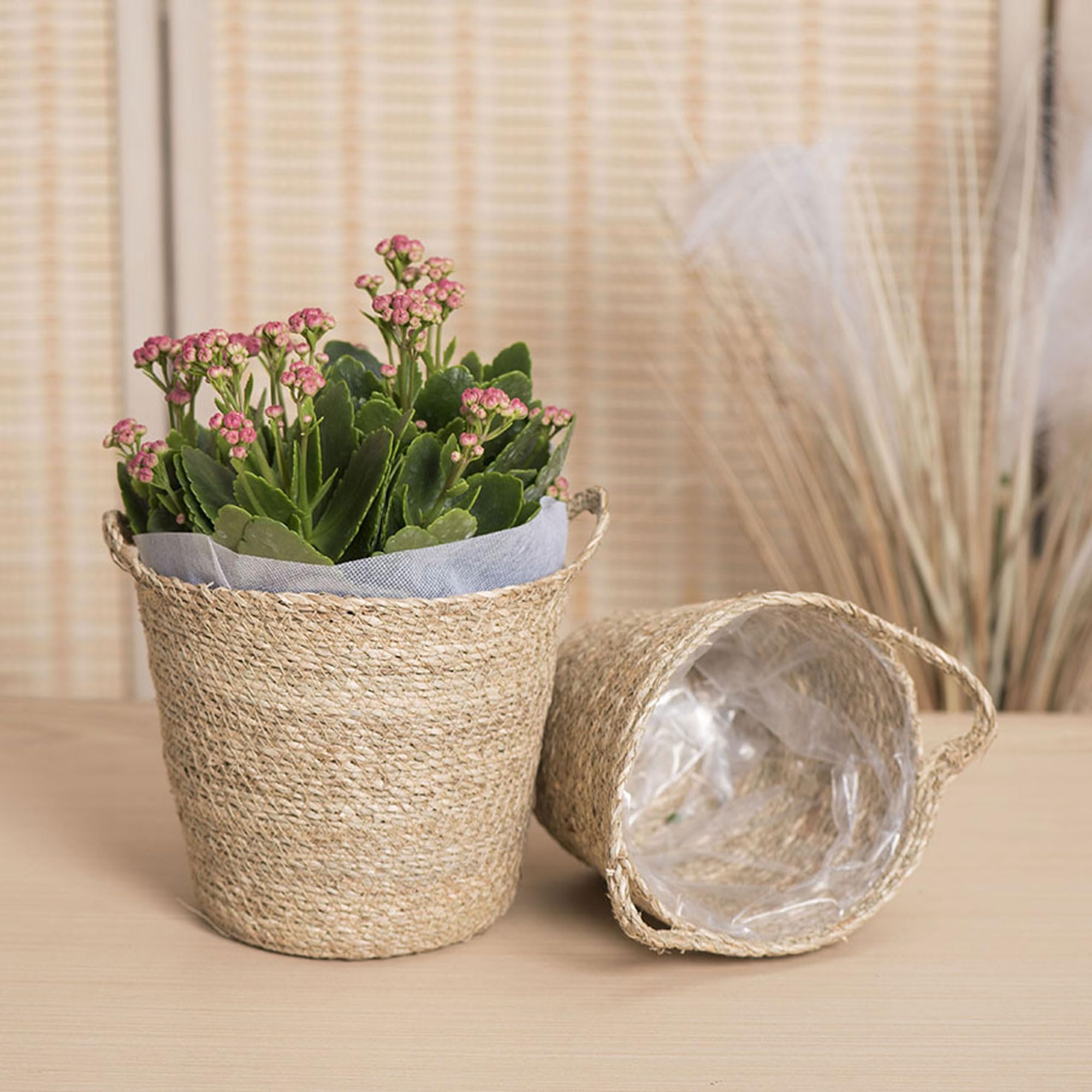Set de 1 Pot Intérieur en Jonc avec Doublure Plastique, Panier Tressé en Osier pour Plantes Intérieur Extérieur, Déco Rustique Ferme Maison Jardin