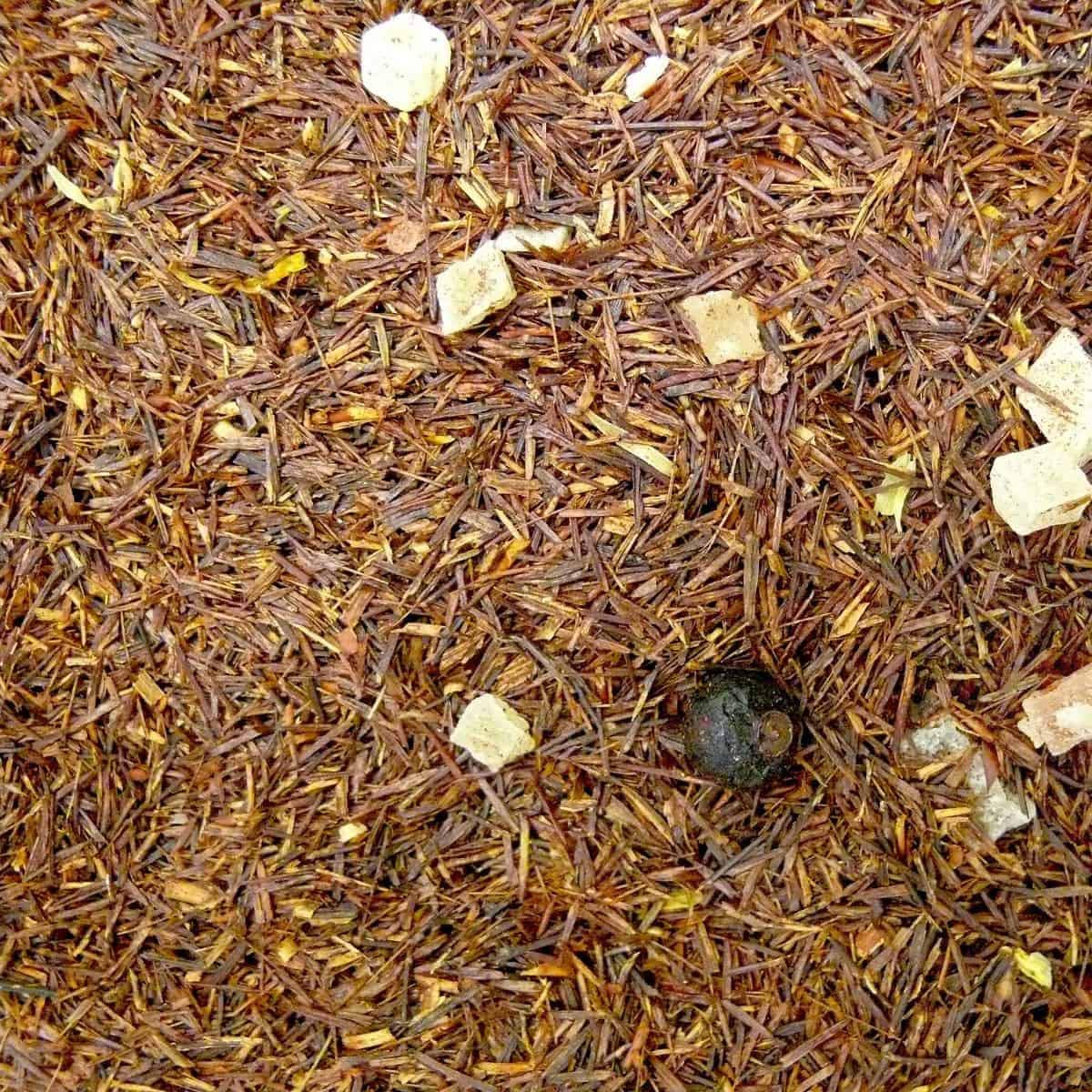 Rotbuschtee Perle des Nils® 1kg