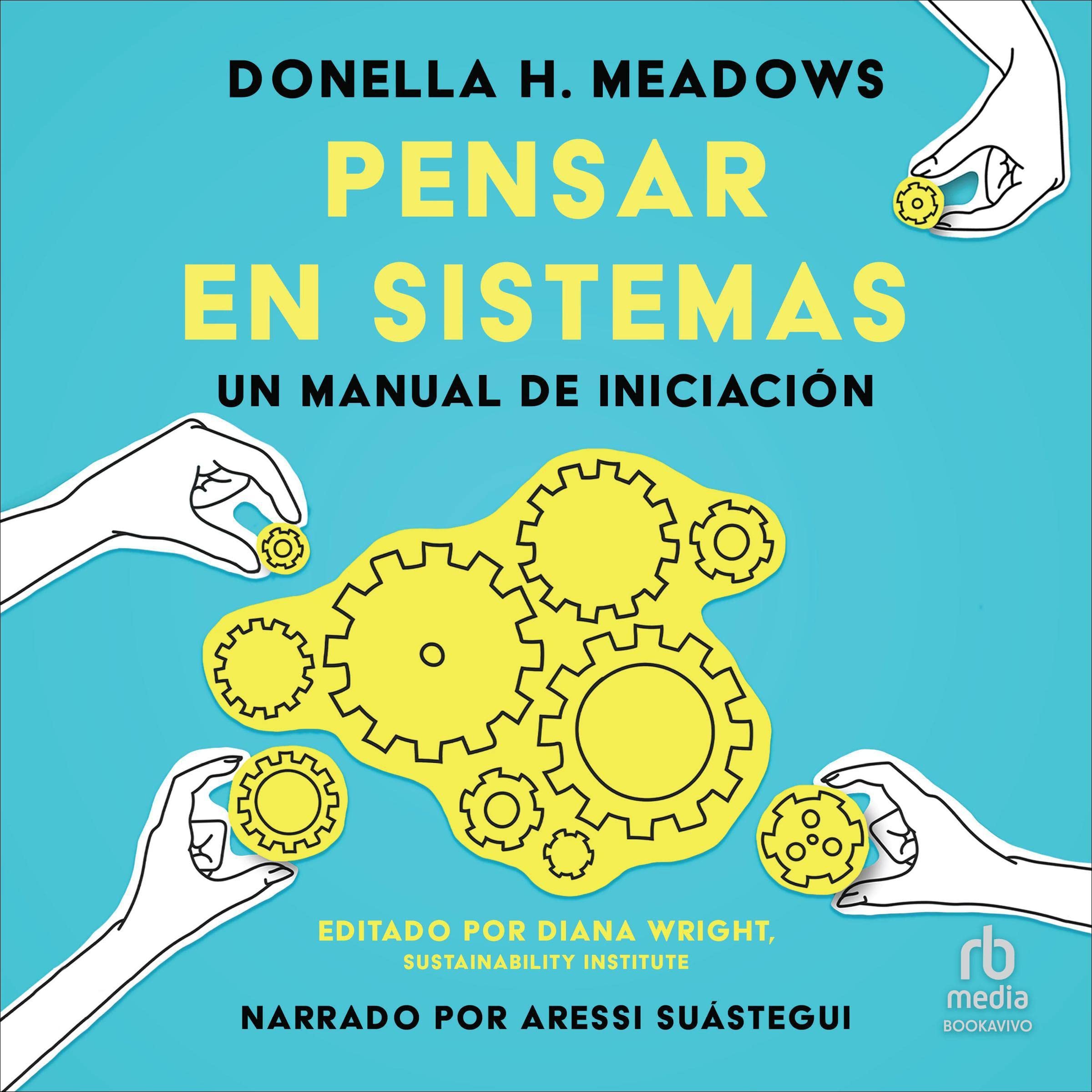 Pensar en sistemas [Thinking in Systems]