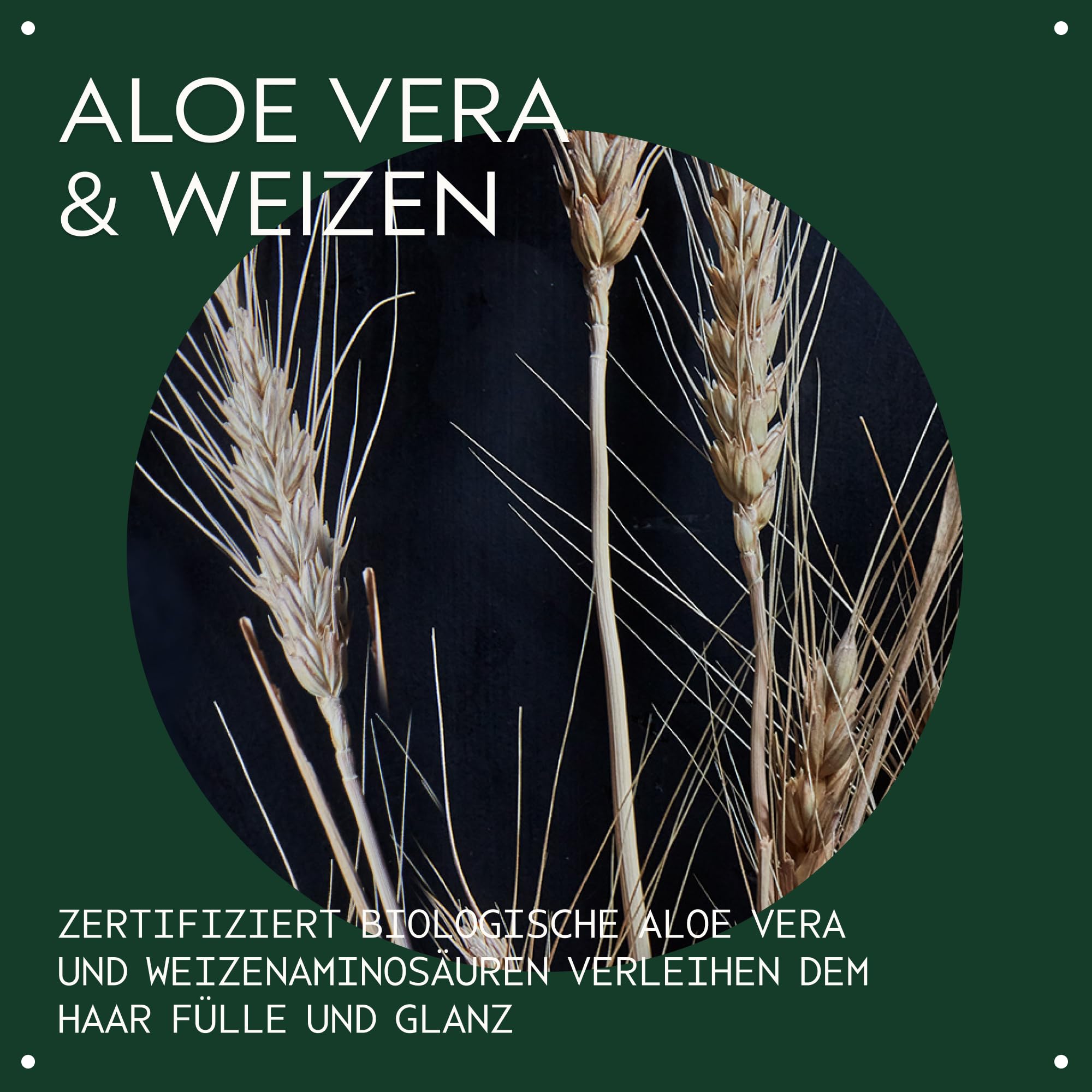 Aveda Volumizing Tonic Volumen-Spray | Für feines & dünnes Haar | Sorgt für mehr Fülle | 100 ml