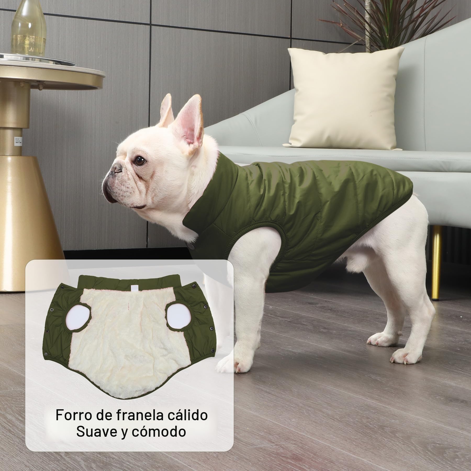 JoyDaog - Chaqueta de perro con forro polar de 2 capas para invierno y clima frío, extra suave, a prueba de viento, para cachorro y perros pequeños, verde, XS