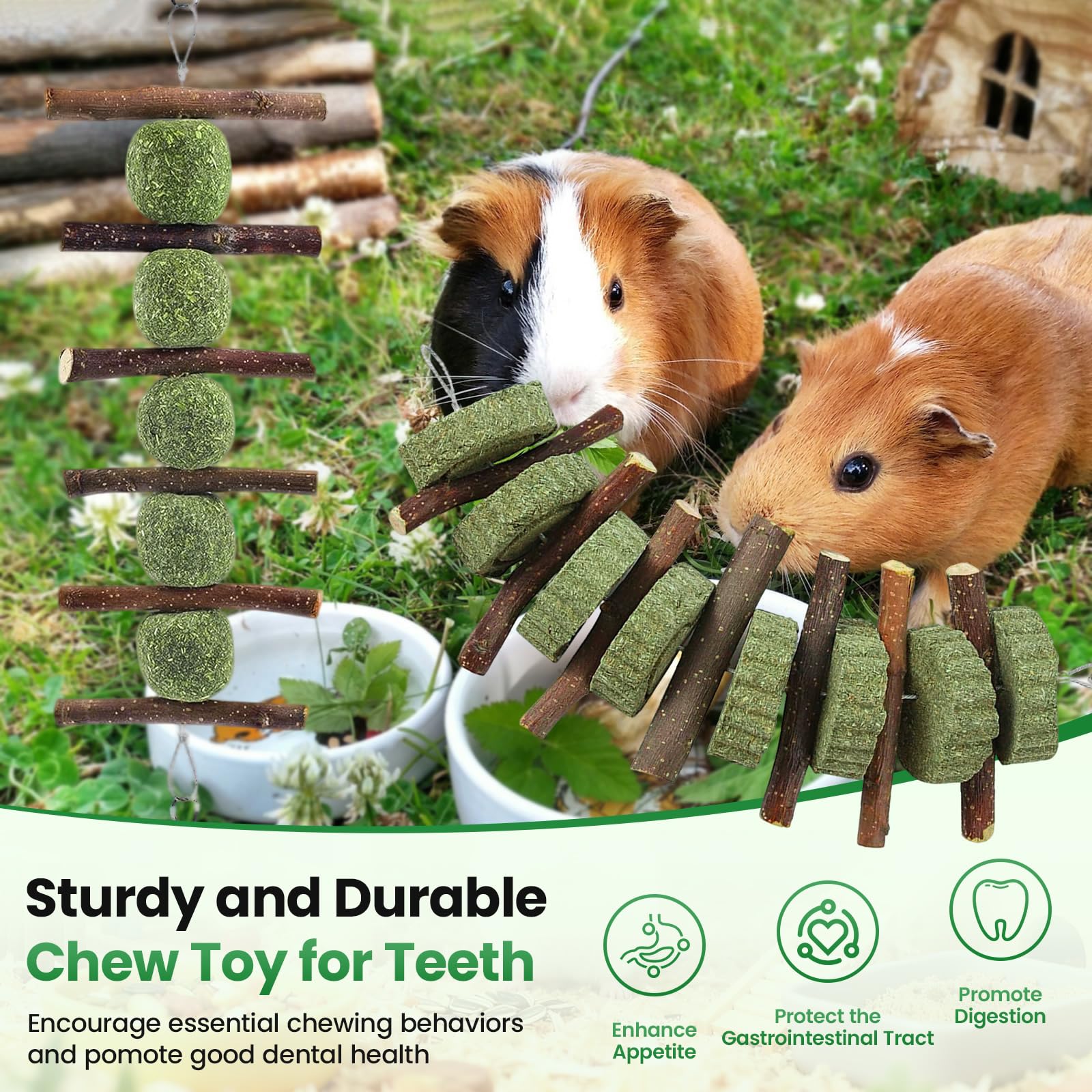 Rabbit Chew Toys Natural Guinea Pig Toys Timothy Hay Hanging Toys Guinea Pig/Hamster/Bunny Chew Toys for Teeth Grinding (2-Piece Set) - 2
