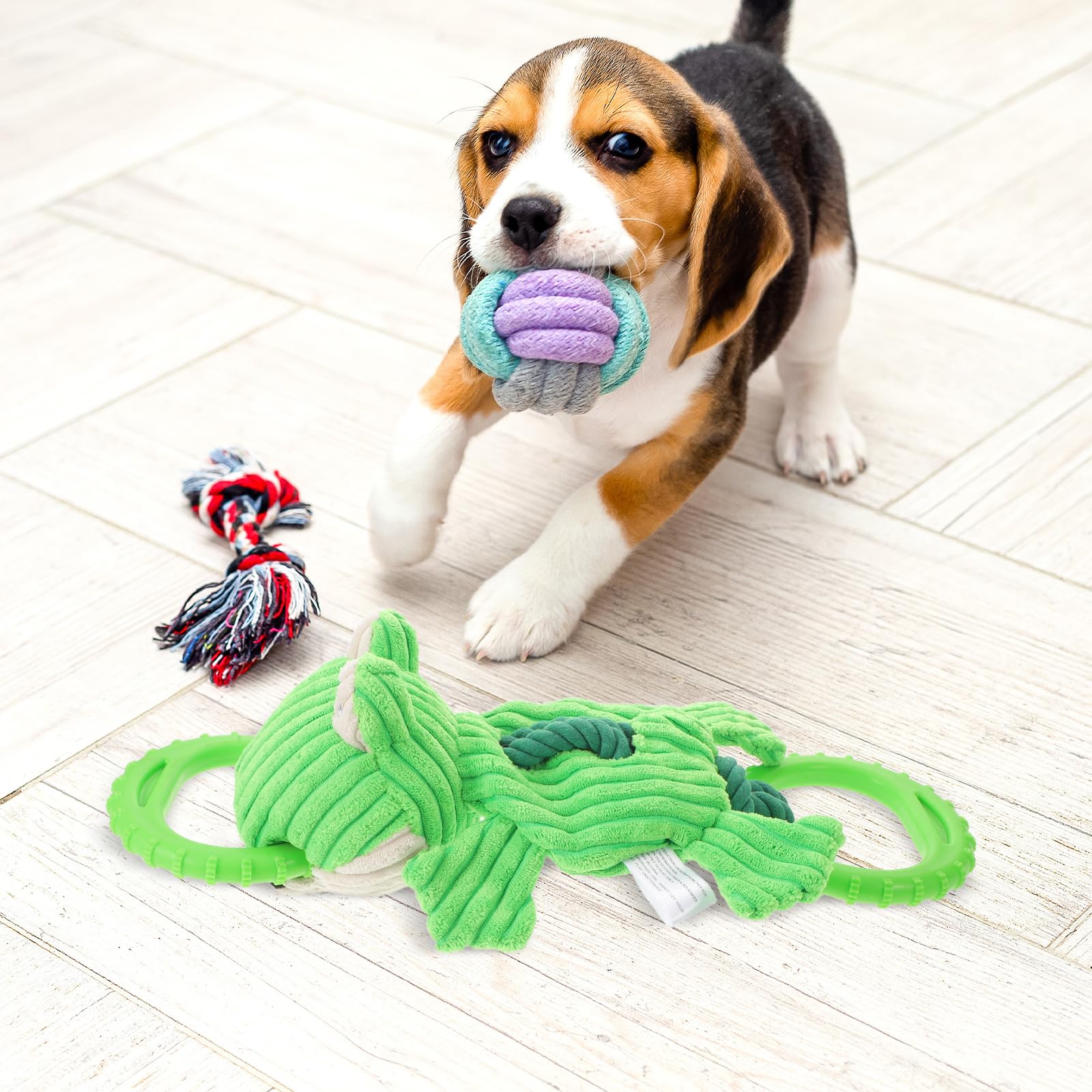 TOYANDONA Juguete para Perros de Peluche en Forma de Rana Cuerda Resistente para Tirar, Diseño Duradero y Mejora la Fuerza Mandibular, Adecuado para Entrenamiento y Juego
