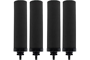Berkeley Filter Replacement: Filter for Clear, Healthy Water