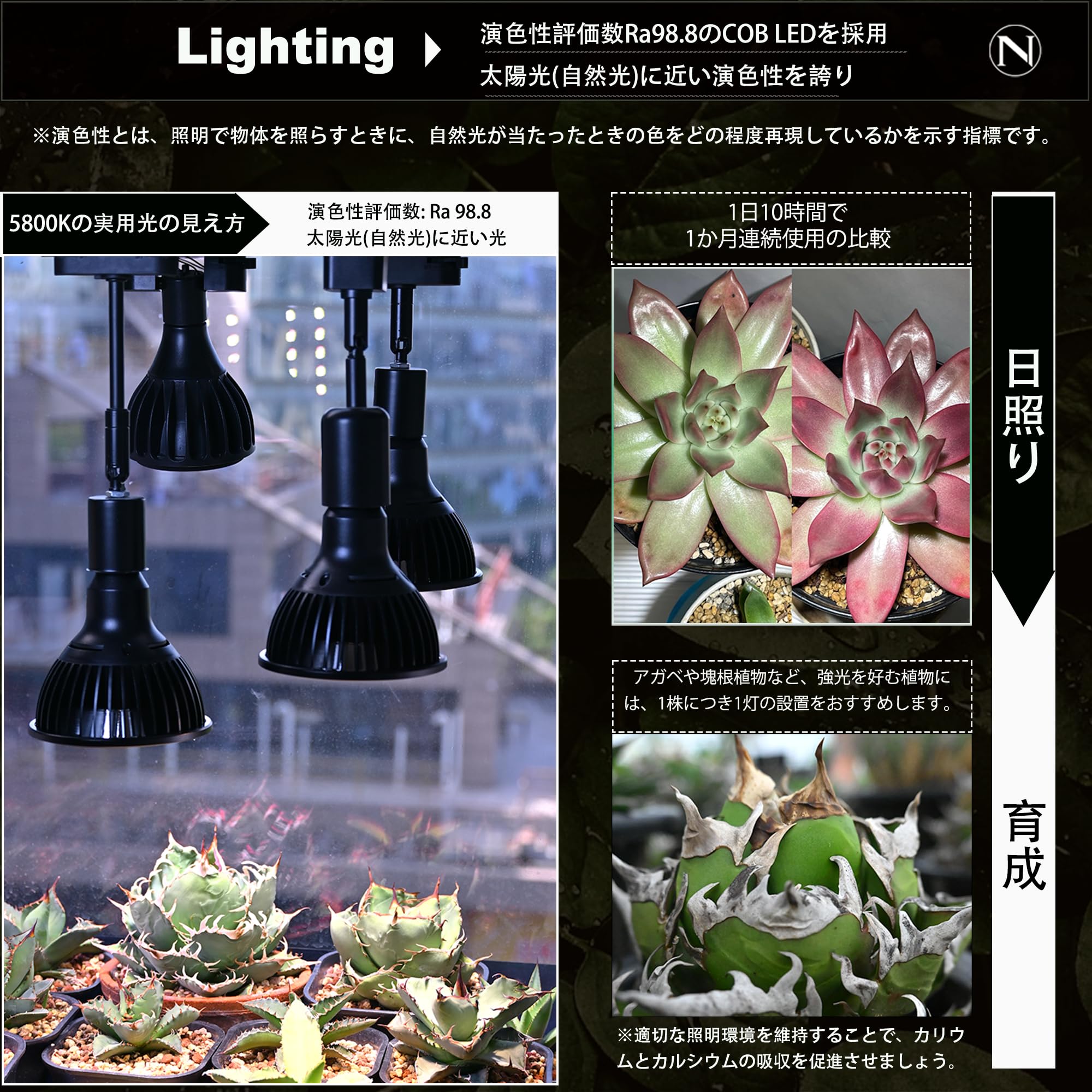 Amazon.co.jp: Niwuno 植物育成LEDライト Aurora/Glow RESO 白色系
