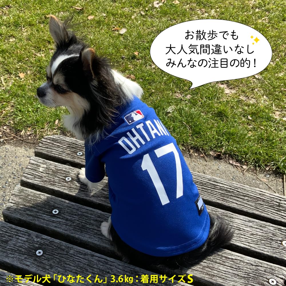 大谷翔平/ロサンゼルス・ドジャース/ワールドシリーズチャンピオン 大谷翔平/ロサンゼルス・ドジャース/ワールドシリーズチャンピオン