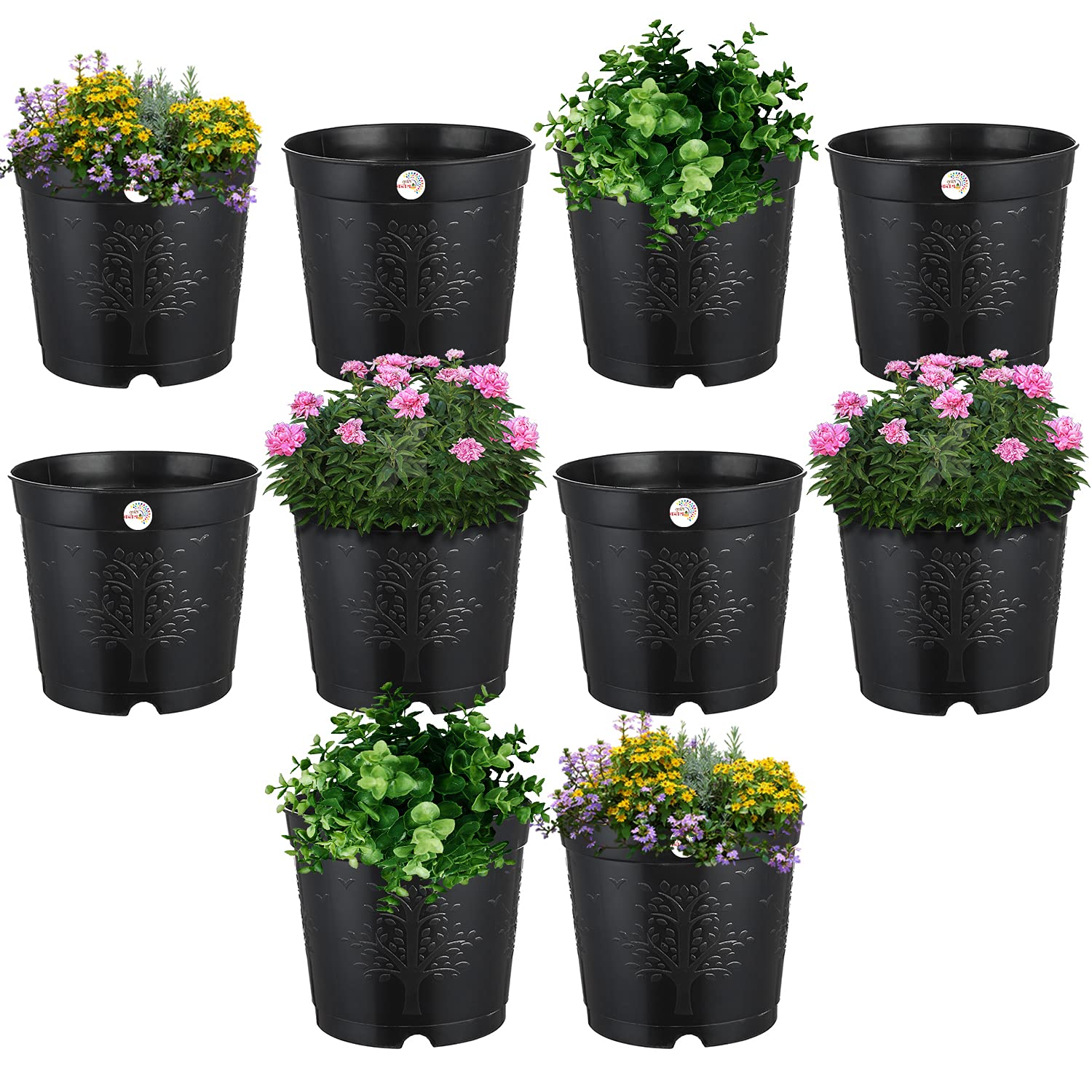 Kriti Kalash Nursery Seedlings Plastic Pots (6-inch, Black) -10 Pieces (B09CBV3DKR) Amazon Price History, Amazon Price Tracker