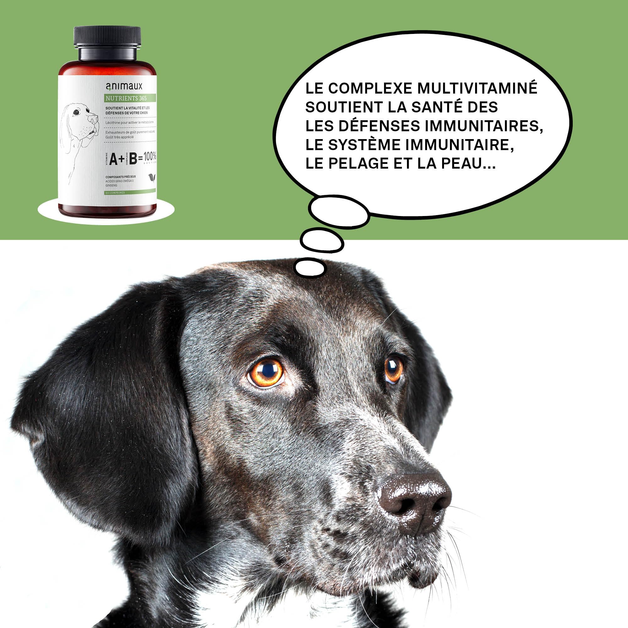 animaux nutrients 365 – 60 comprimés à mâcher – Vitamines pour Chiens, Soutien du métabolisme, du système immunitaire et du Pelage, avec Complexe de vitamines B, oméga 3, Ginseng et Plus Encore