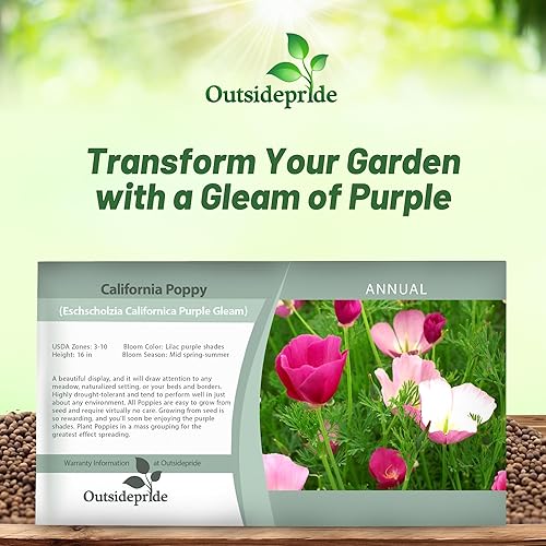 Miniatura 6 de Outsidepride Poppy California Purple Gleam Wild Flower Seeds - 5000 semillas