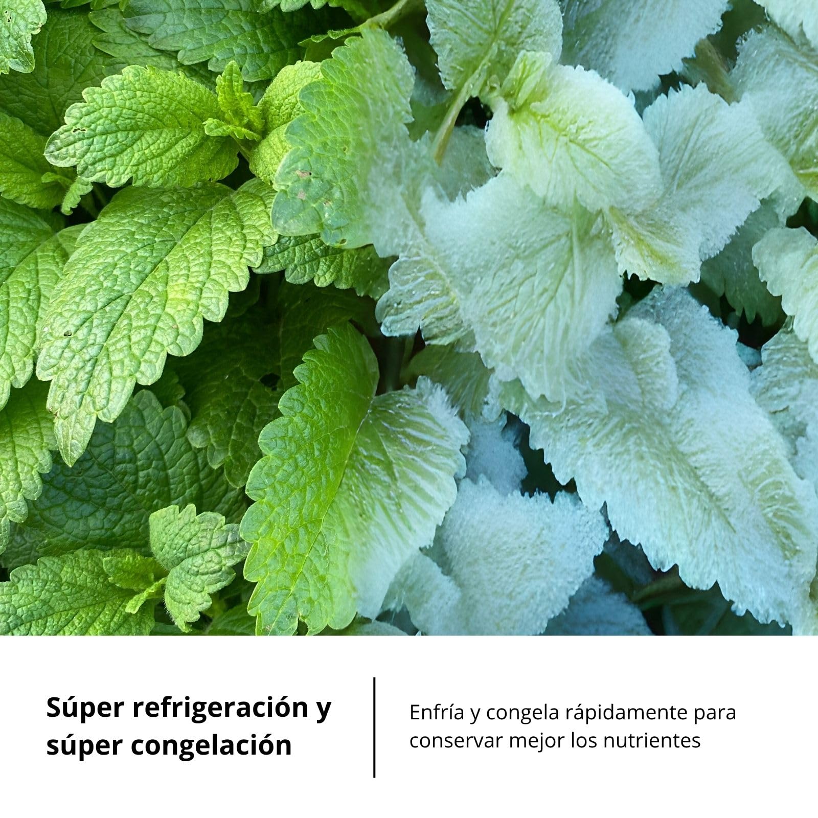 Corbero - Frigorífico Combi | CCGLML201725NFW | No Frost | Inverter | 356L | 200cm | Display Puerta | Fresh Box | Cajón Crisper | Estantes cristal | Cristal Blanco