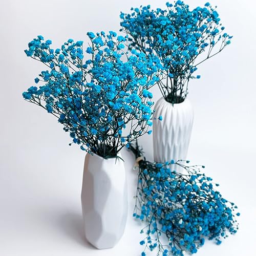 Miniatura 4 de Aliento preservado del bebé, 3 racimos, 100% natural de gypsophila fresca, flores de larga duración para arreglos de jarrón, decoración del hogar,