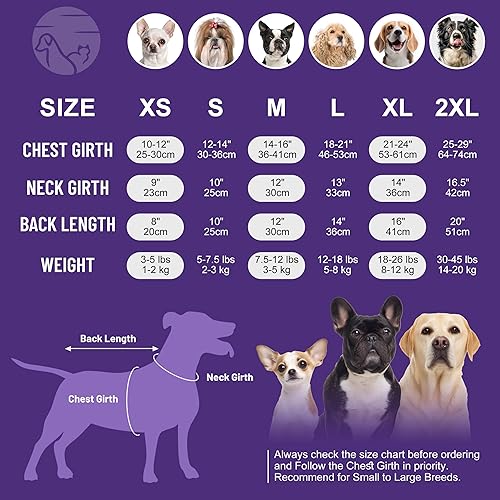 Miniatura 3 de cyeollo Paquete de 2 vestidos para perro, ropa de primavera y verano, vestidos transpirables para perros pequeños y niñas, teñido anudado, talla XL