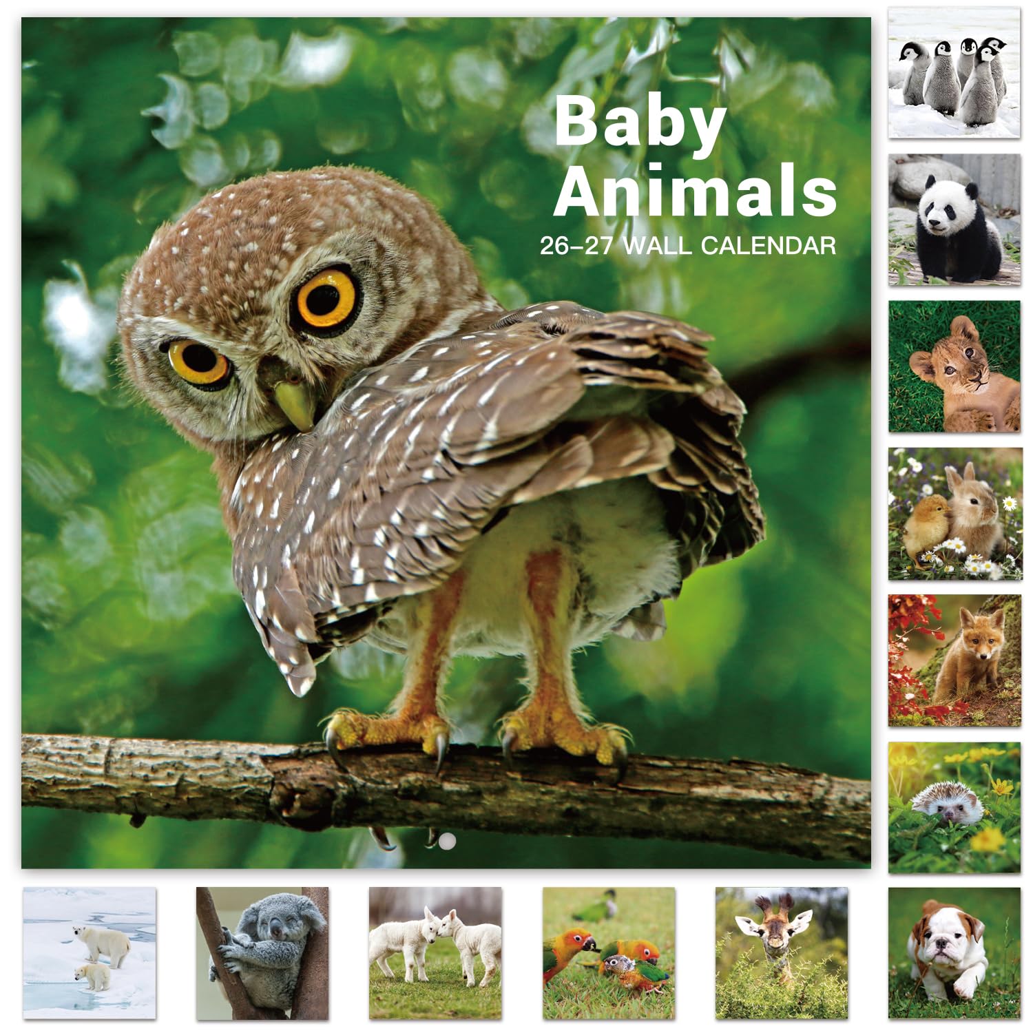 2026-2027 Calendar - 18 Month Baby Animals Wall Calendar 2026-2027 from July 2026 - December 2027, 12 x 12 inches, Thick & Sturdy Paper, 12" x 24" (