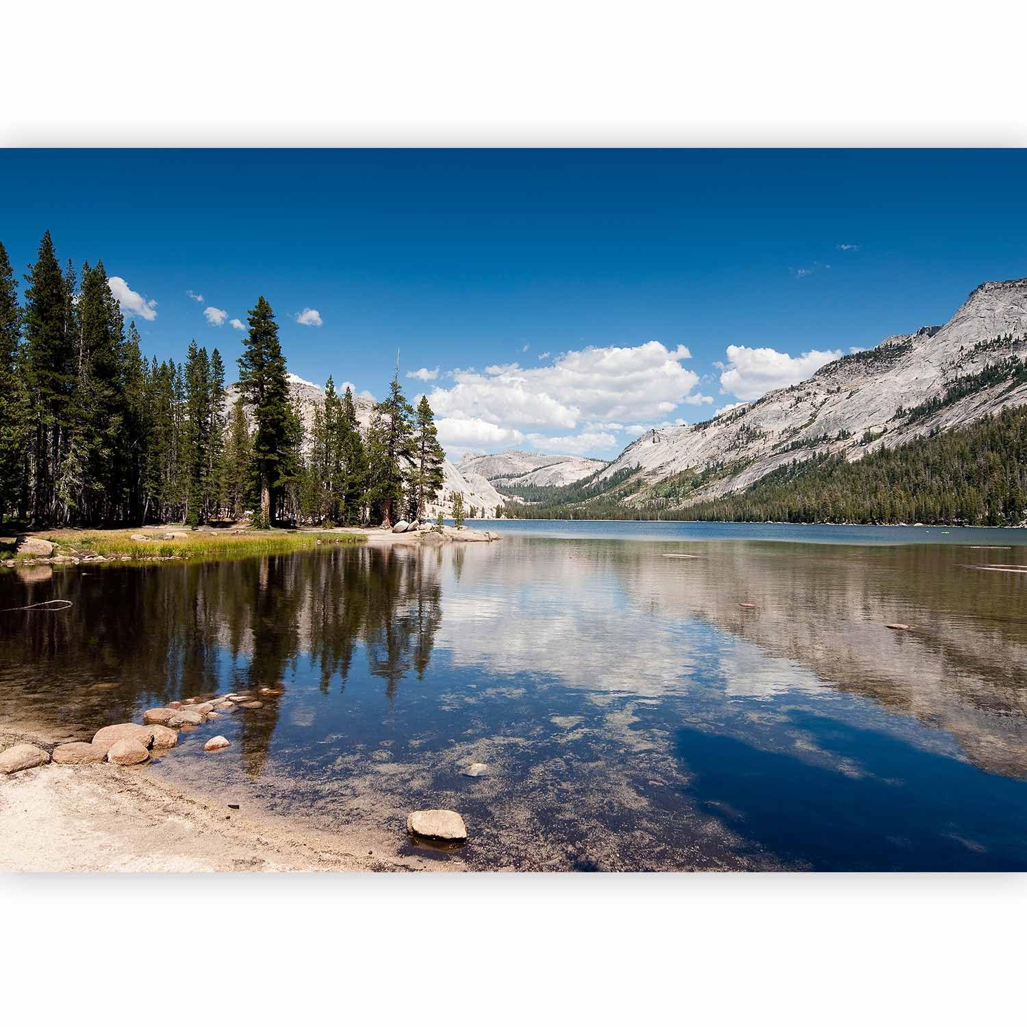 murando - Carta da Parati Moderna per Soggiorno, Paesaggio, 300x210 cm | Fotomurali in TNT, Decorazione da Muro XXL, Carte da Parati Moderne, Lago, Produzione Europea