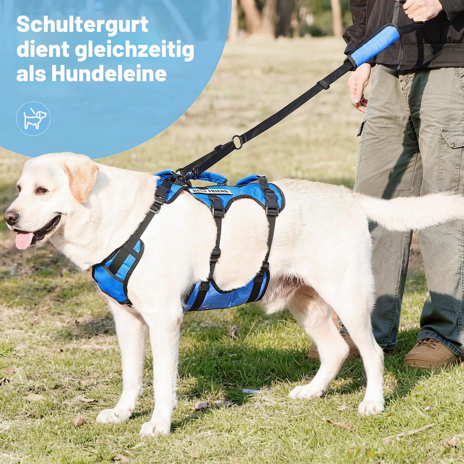 Dog Lift Geschirr für Große Hunde, Ganzkörper-Stützschlinge mit 3 Griffen und Schultergurt, Trageweste für ältere Hunde mit Arthritis oder Gelenkverletzungen, Treppenhilfe, Blau, X-Large