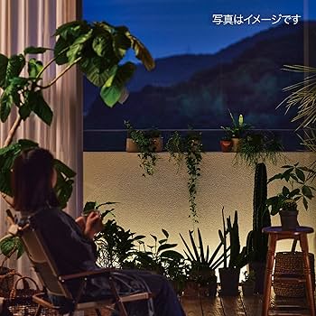 Amazon | タカショー ガーデンライト ひかりノベーション 憩いの